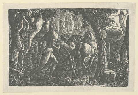 Man Ploughing in Forest Wood Engraving
