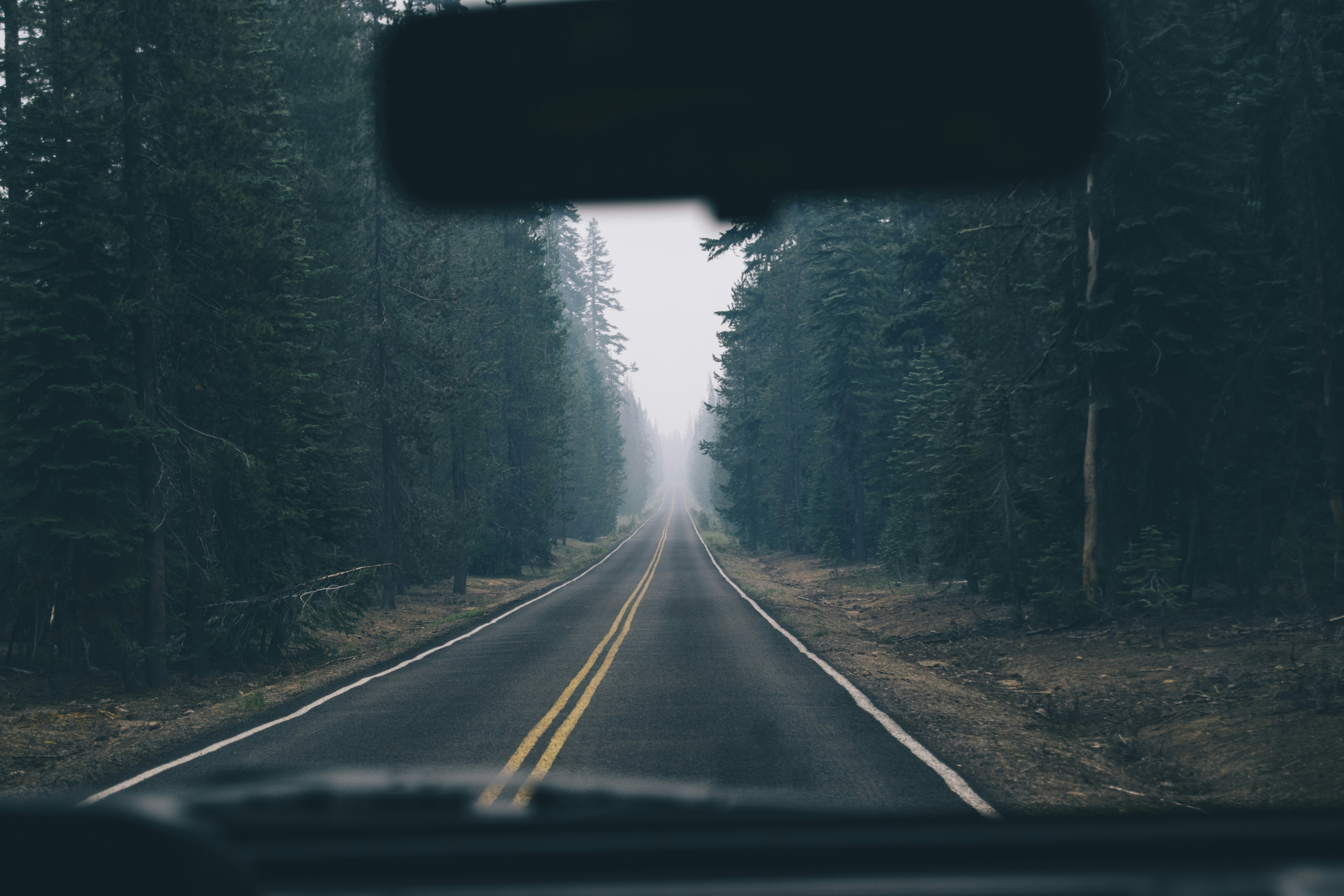 Forest Road View From Car