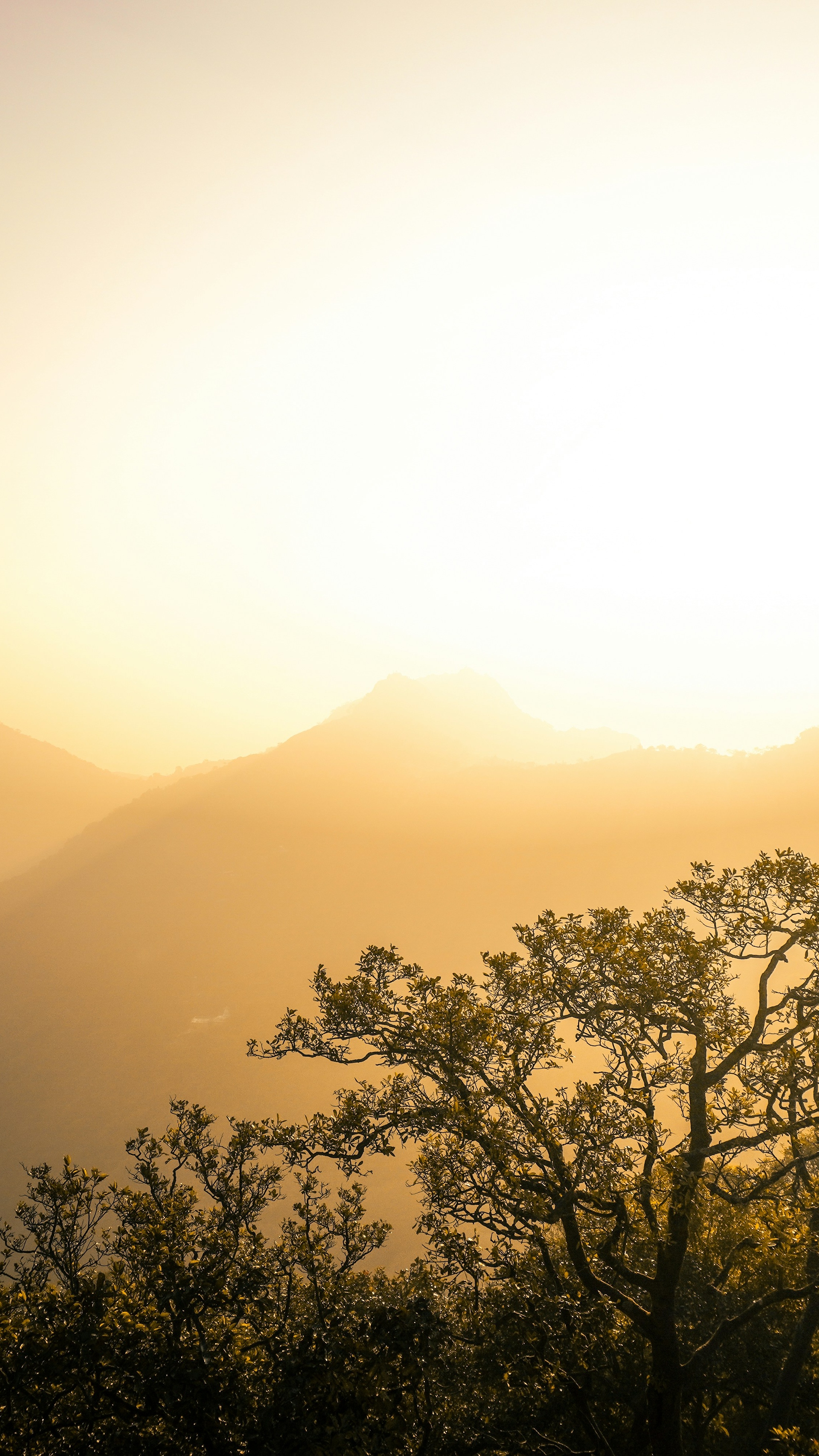 Landscapes