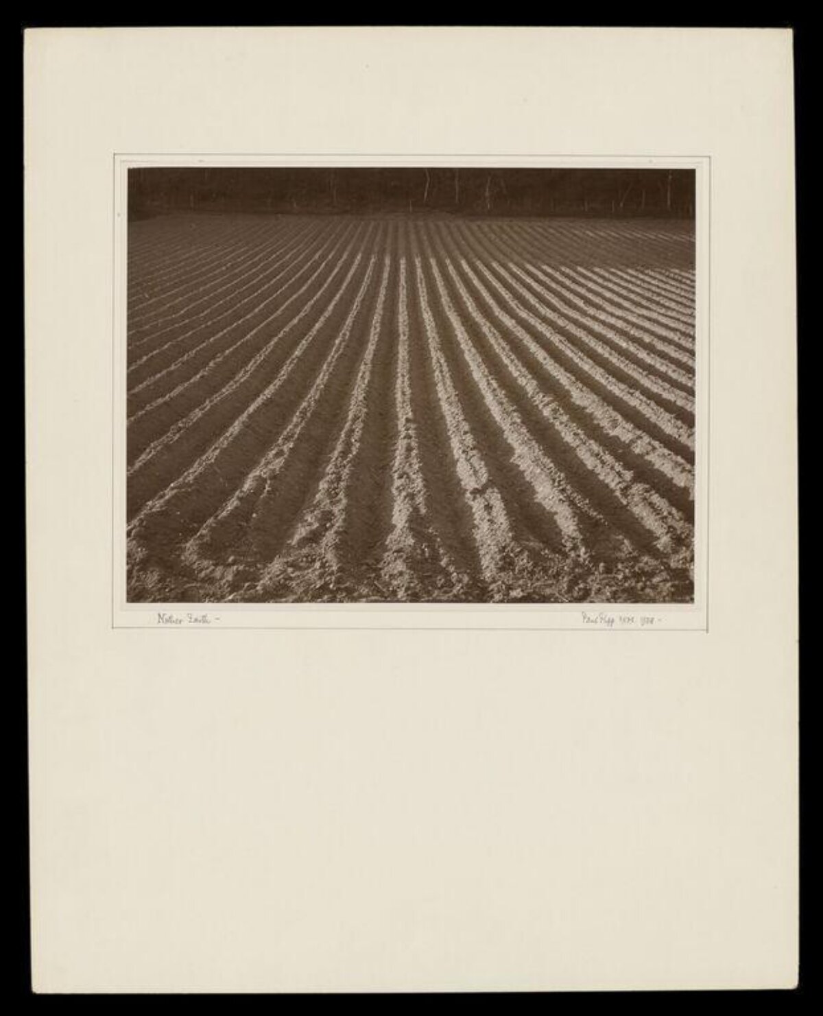 Plowed Field with Straight Furrows