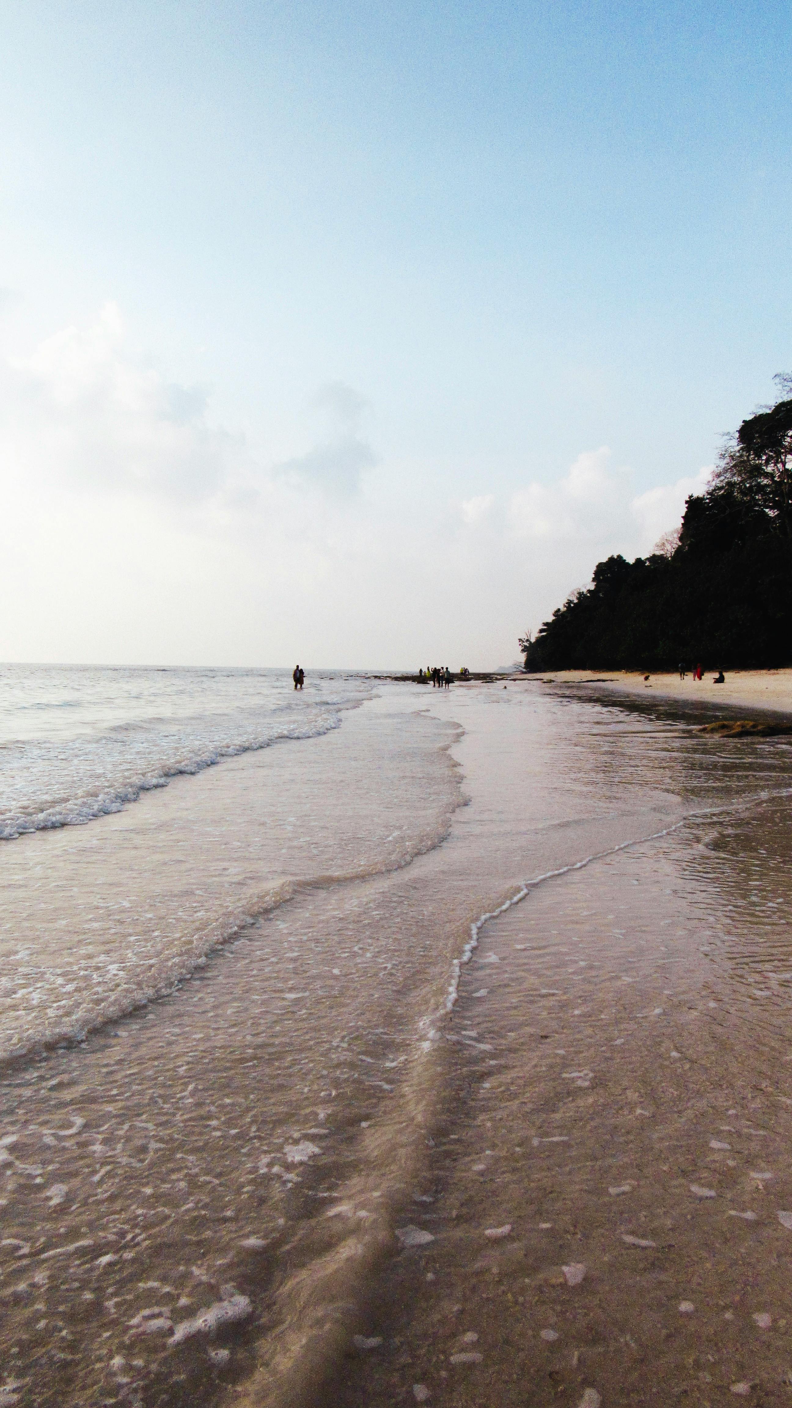 Tranquil Sandy Beach Seaside View