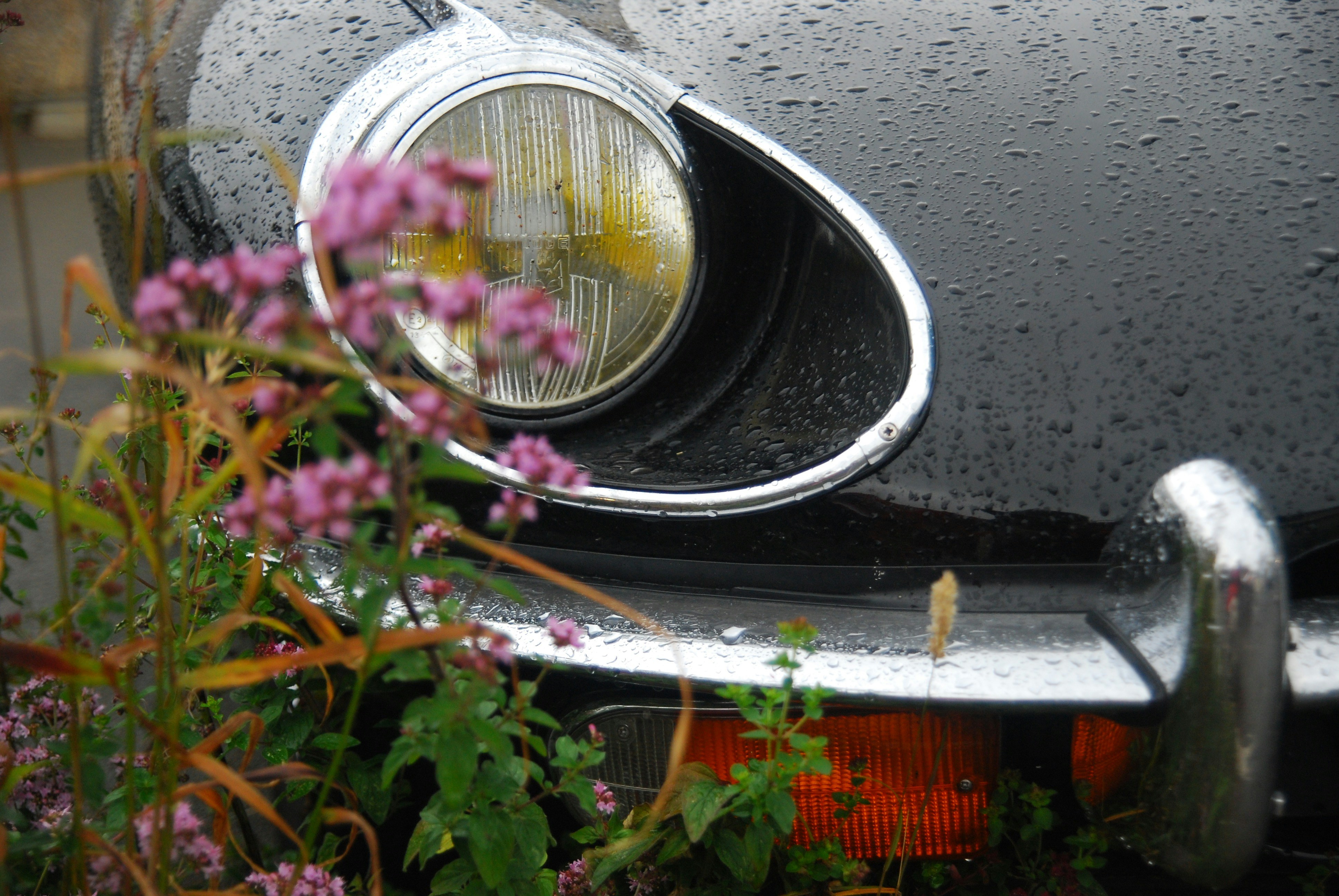 Close-up of Vintage Car Headlight After Rain