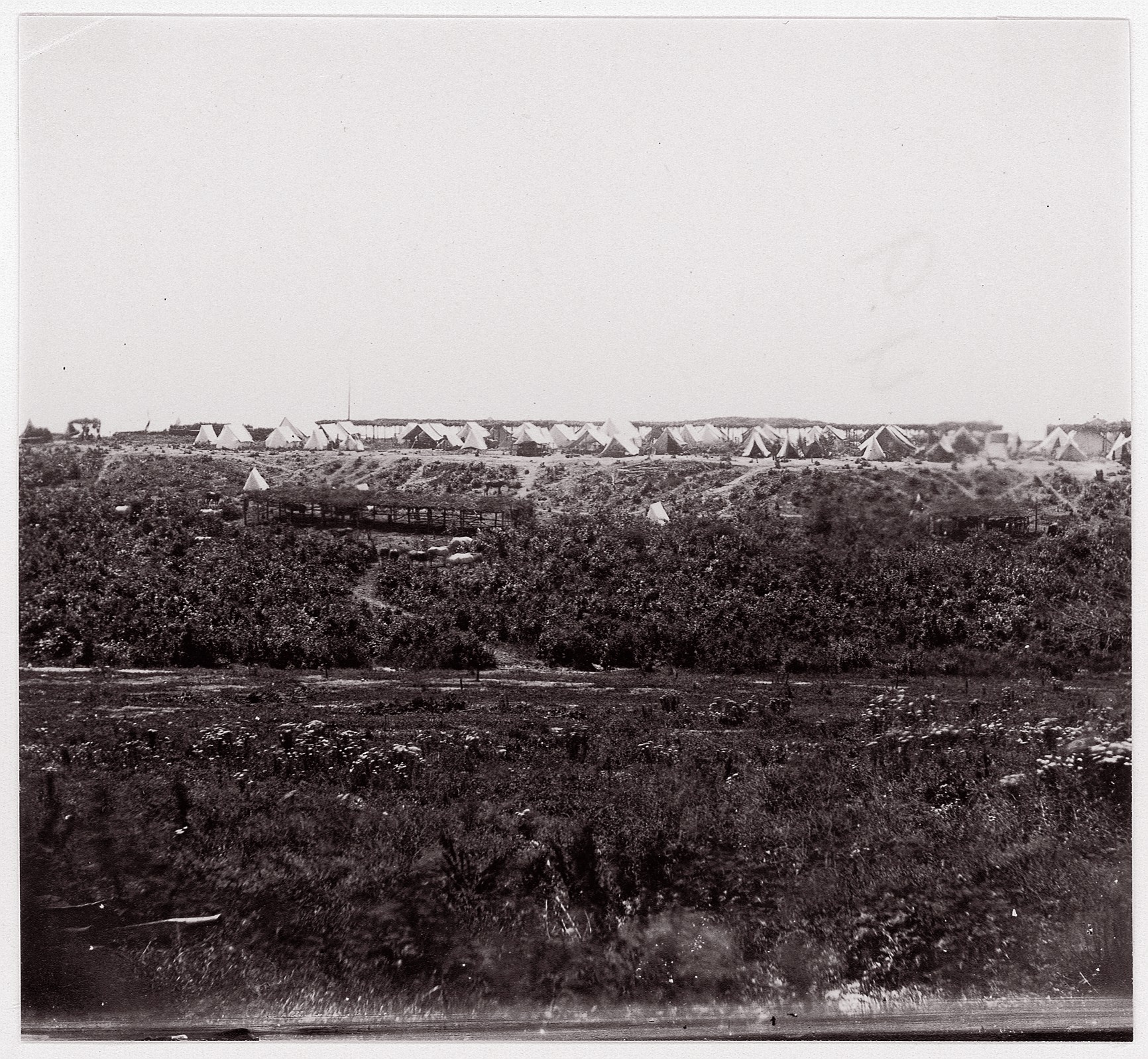 Historical Military Camp on Hillside