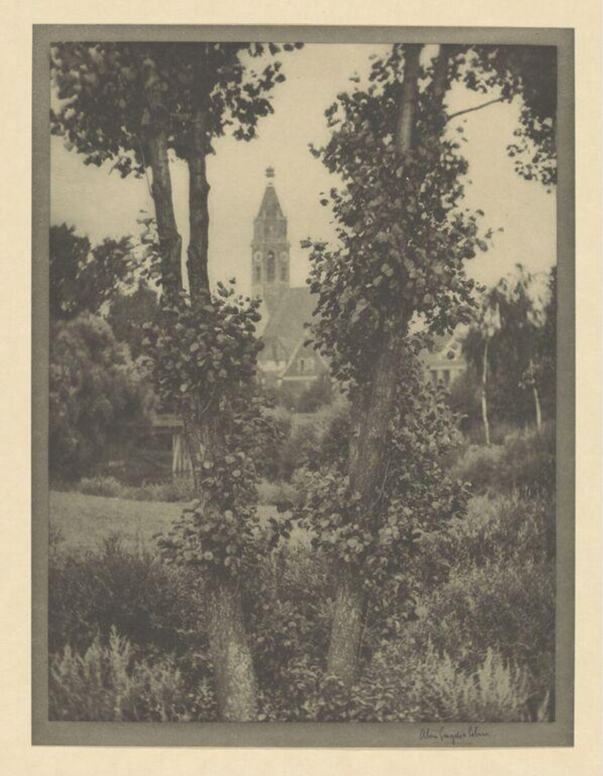 Tree Framed View of Church Tower