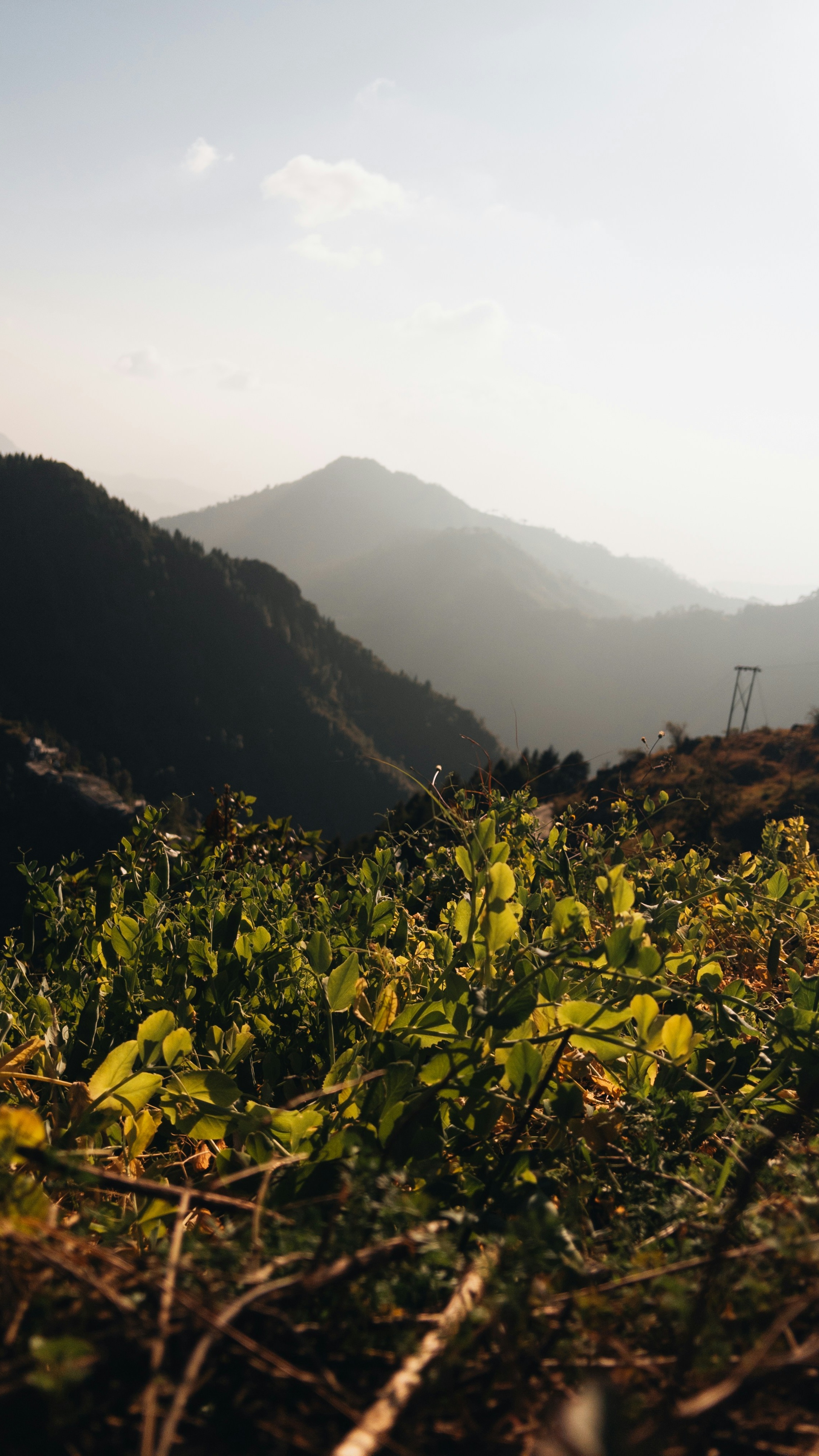 Landscapes