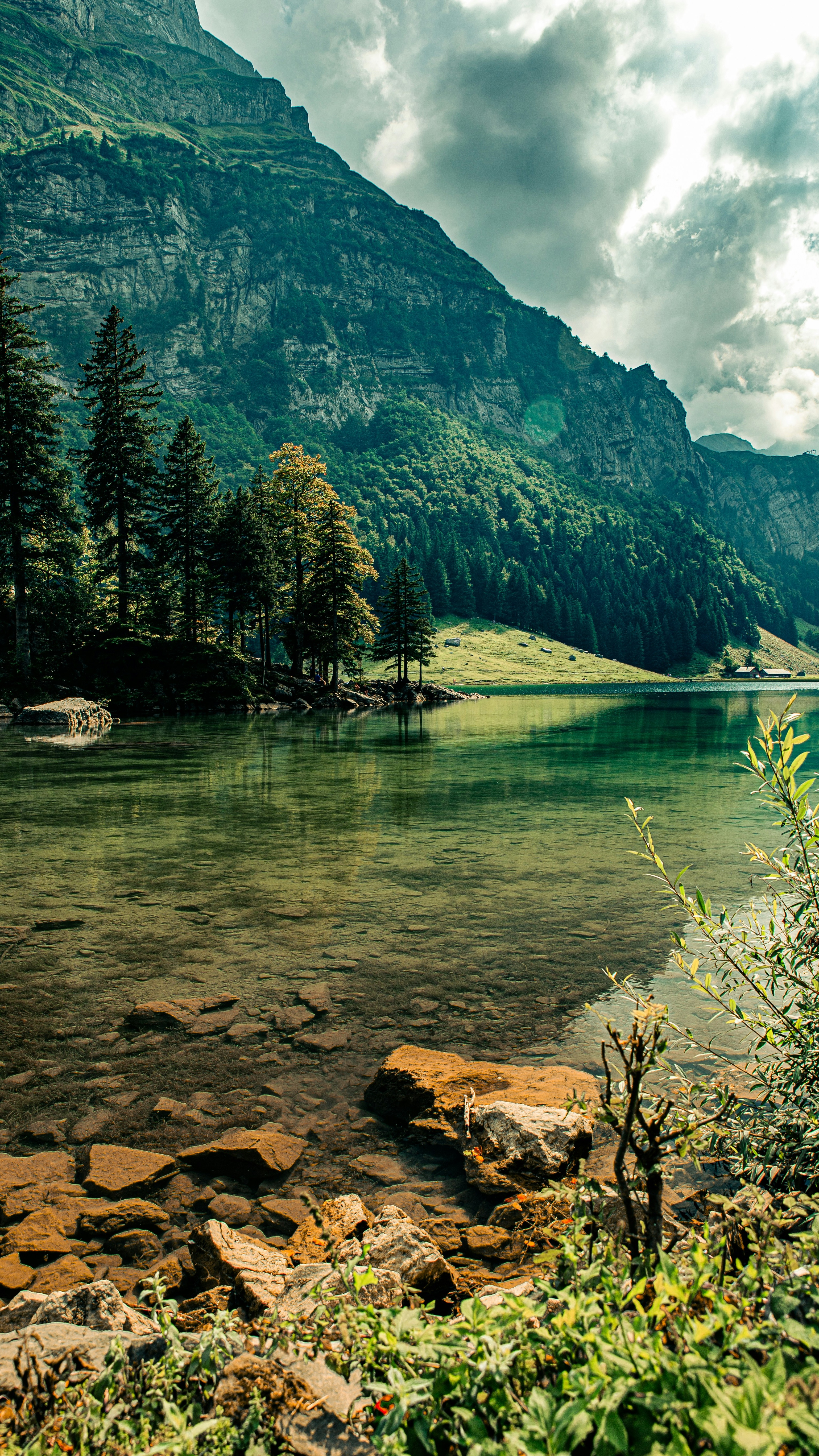 Landscapes