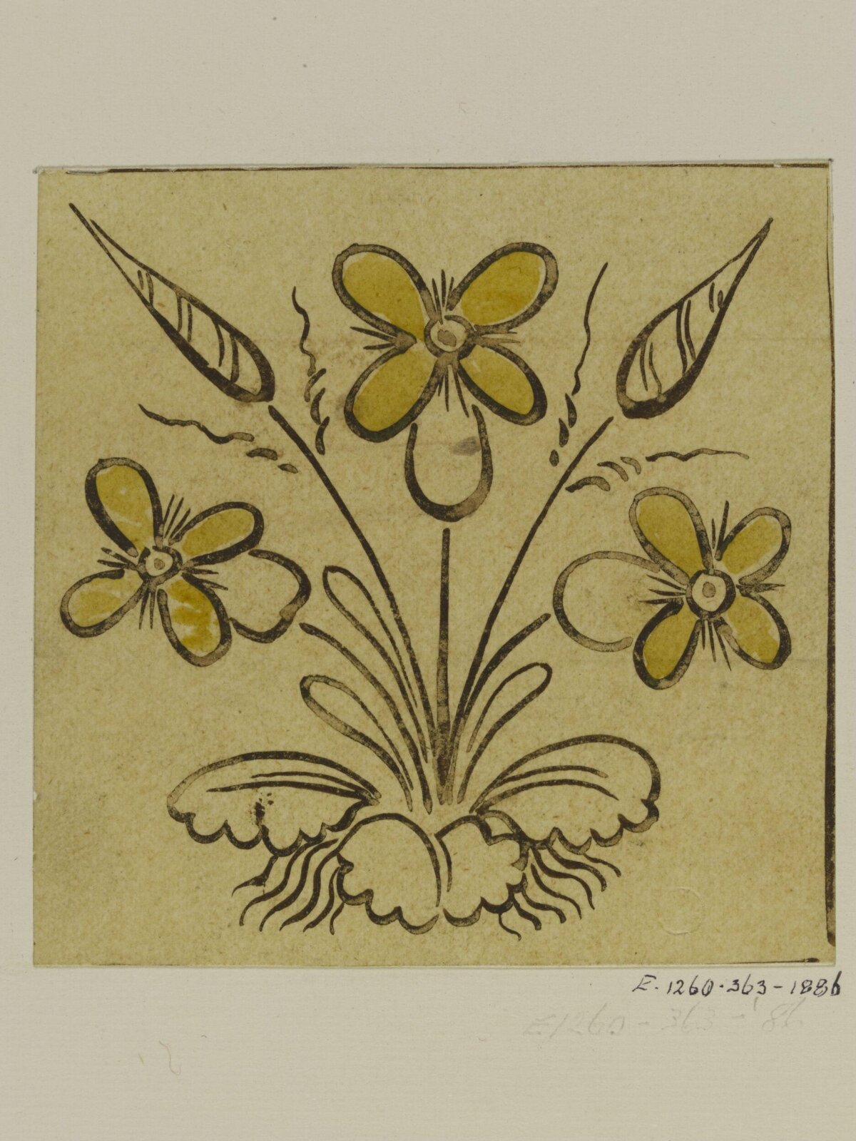 Vintage Sketch of Three Yellow Flowers