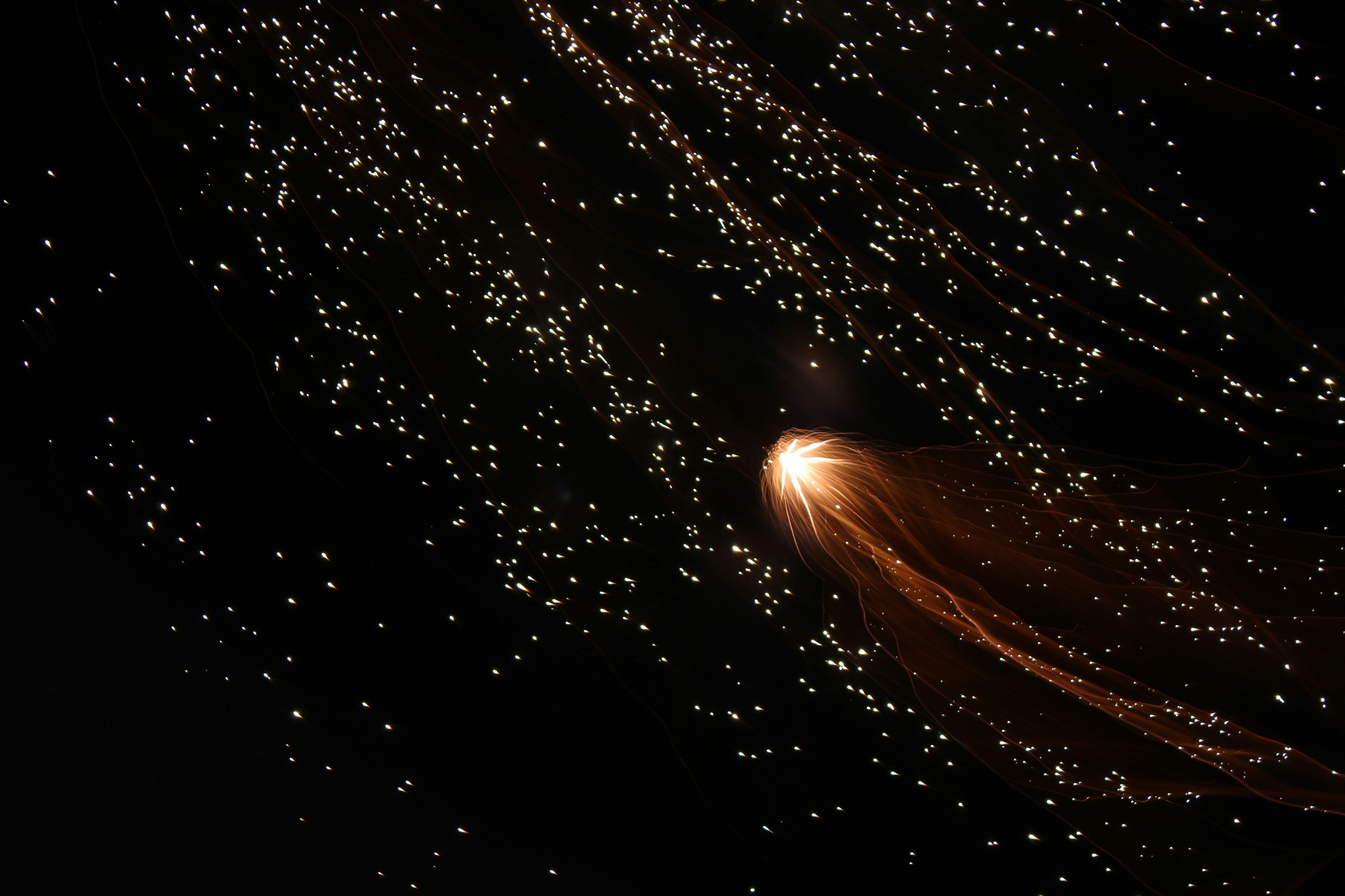 Trailing Firework in Night Sky