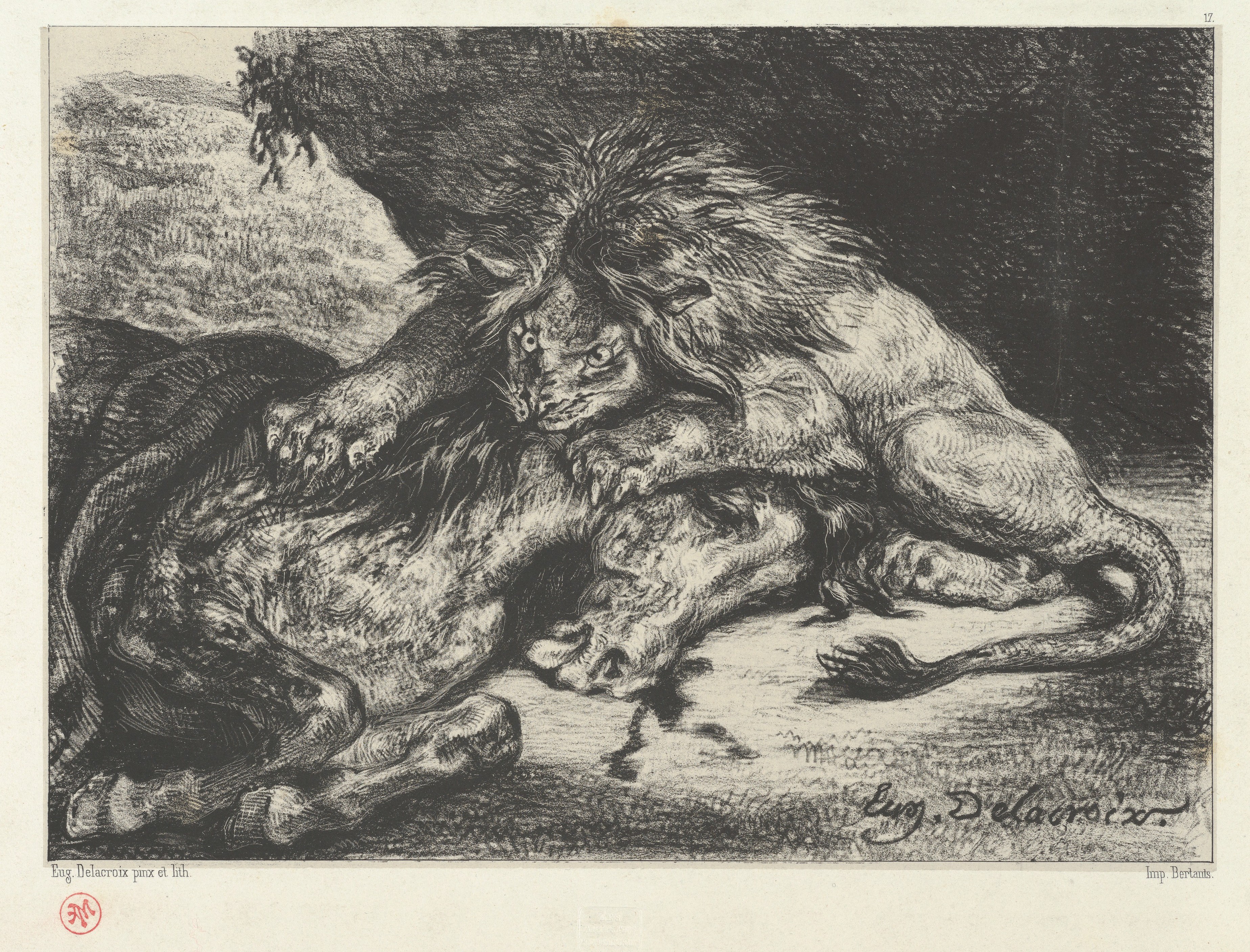 Two Fighting Lions