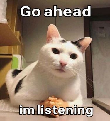Go Ahead I'm Listening Cat Meme
