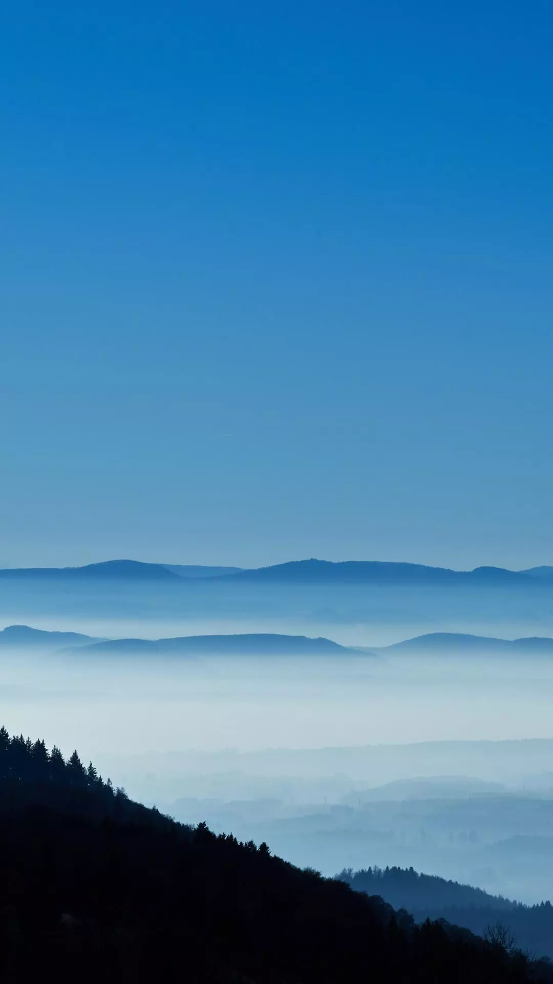 Landscapes