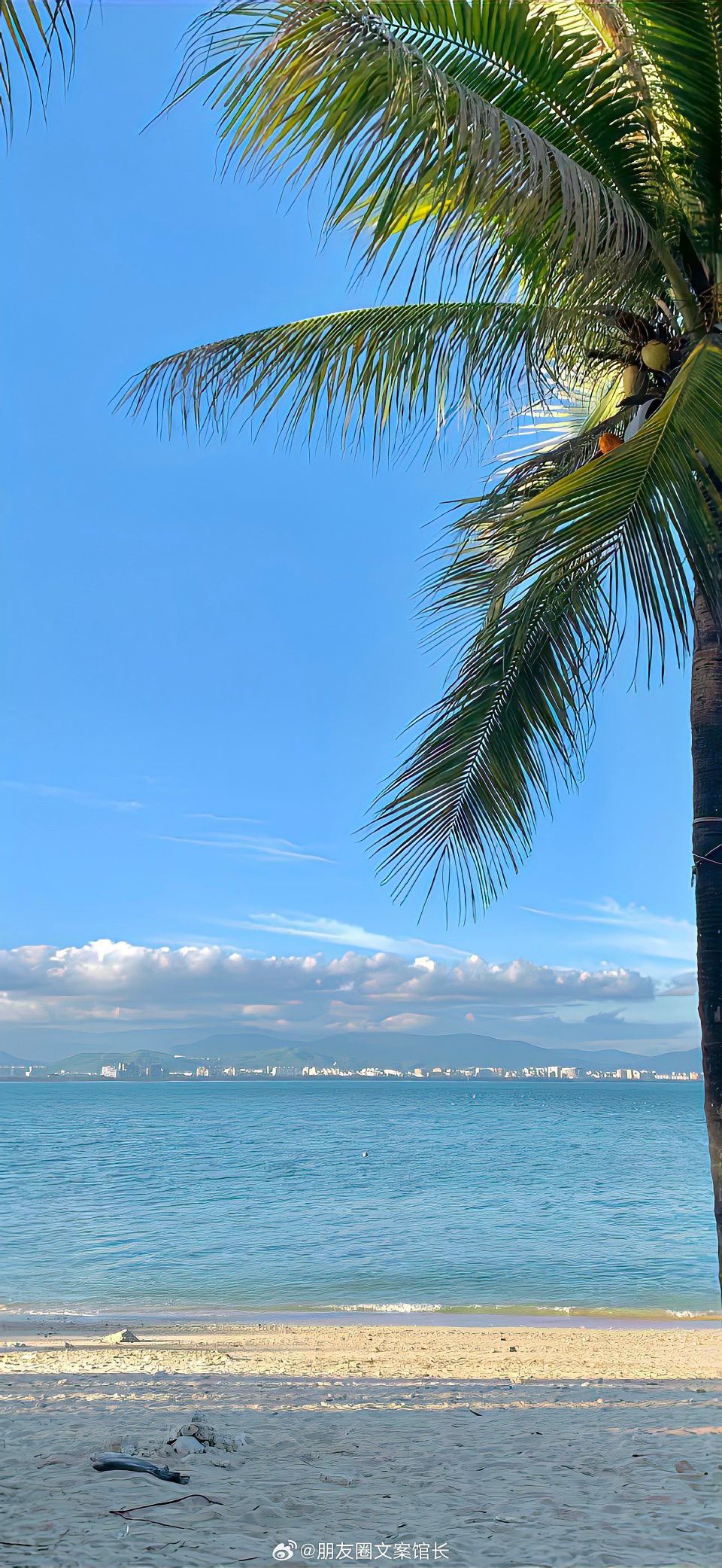 Sunny Tropical Beach View