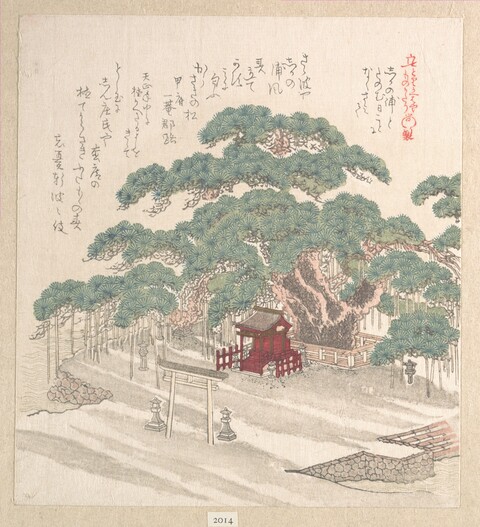 Japanese Shrine Under Ancient Pine