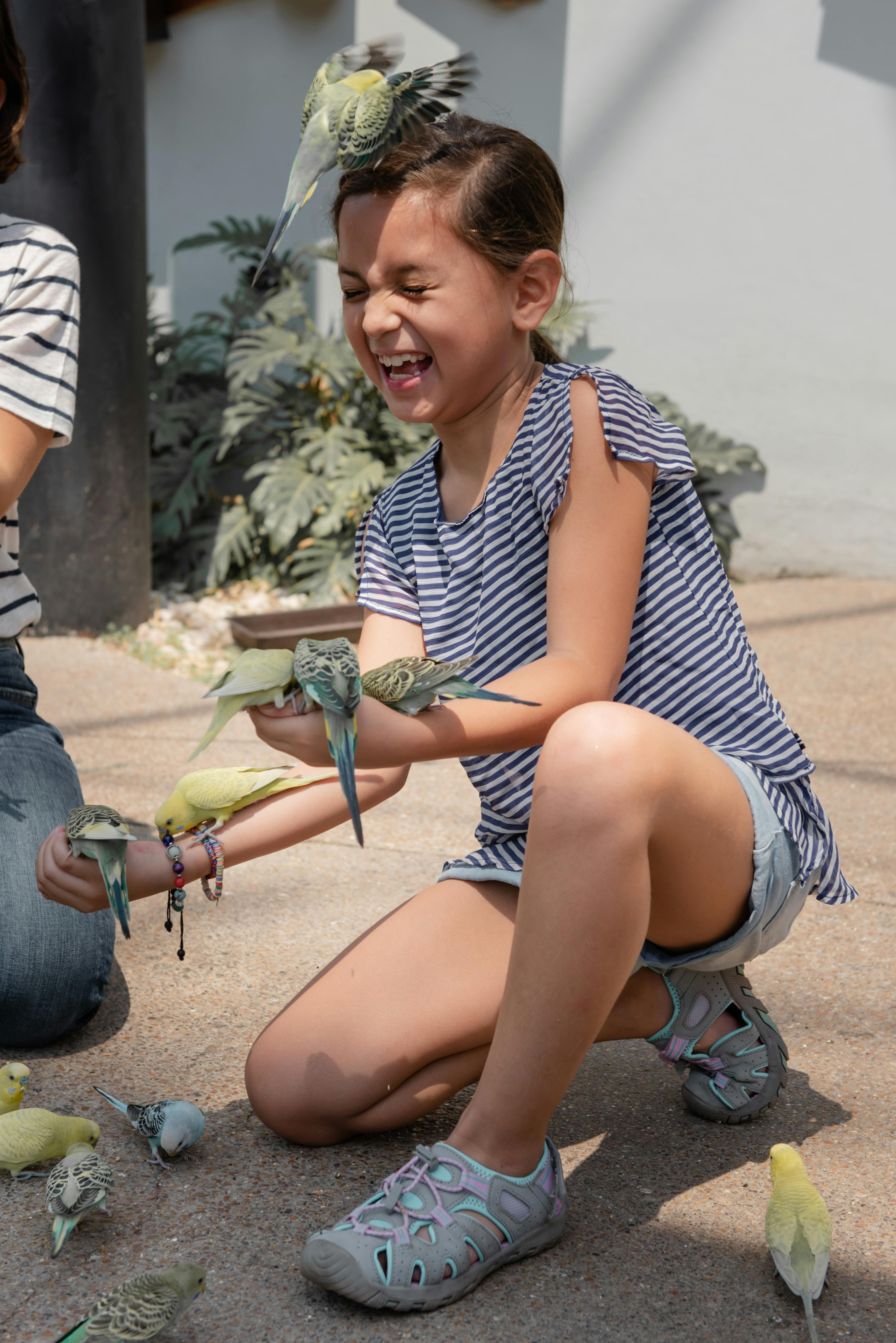 Happy Girl With Many Perched Budgies