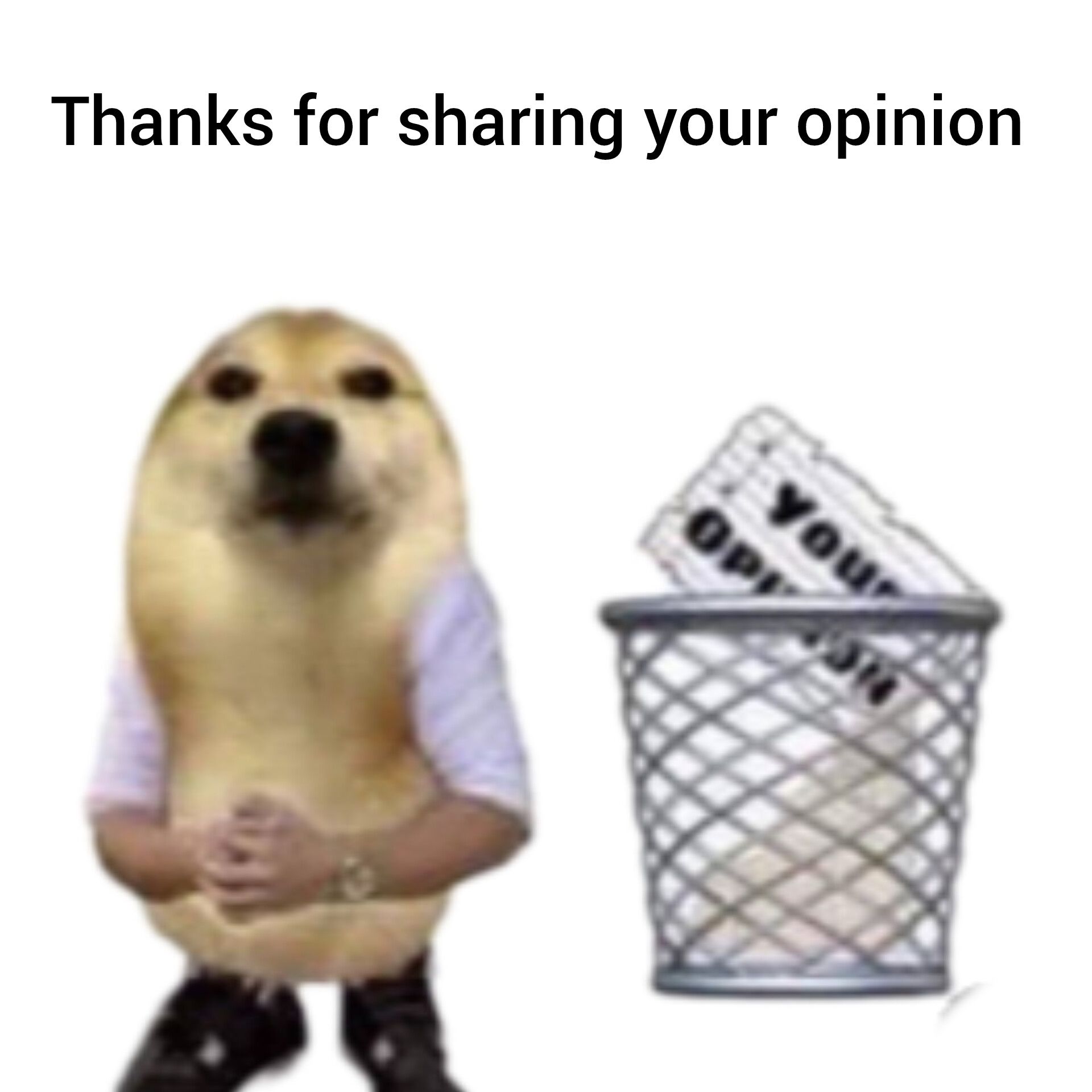 Thanks For Sharing Your Opinion Meme