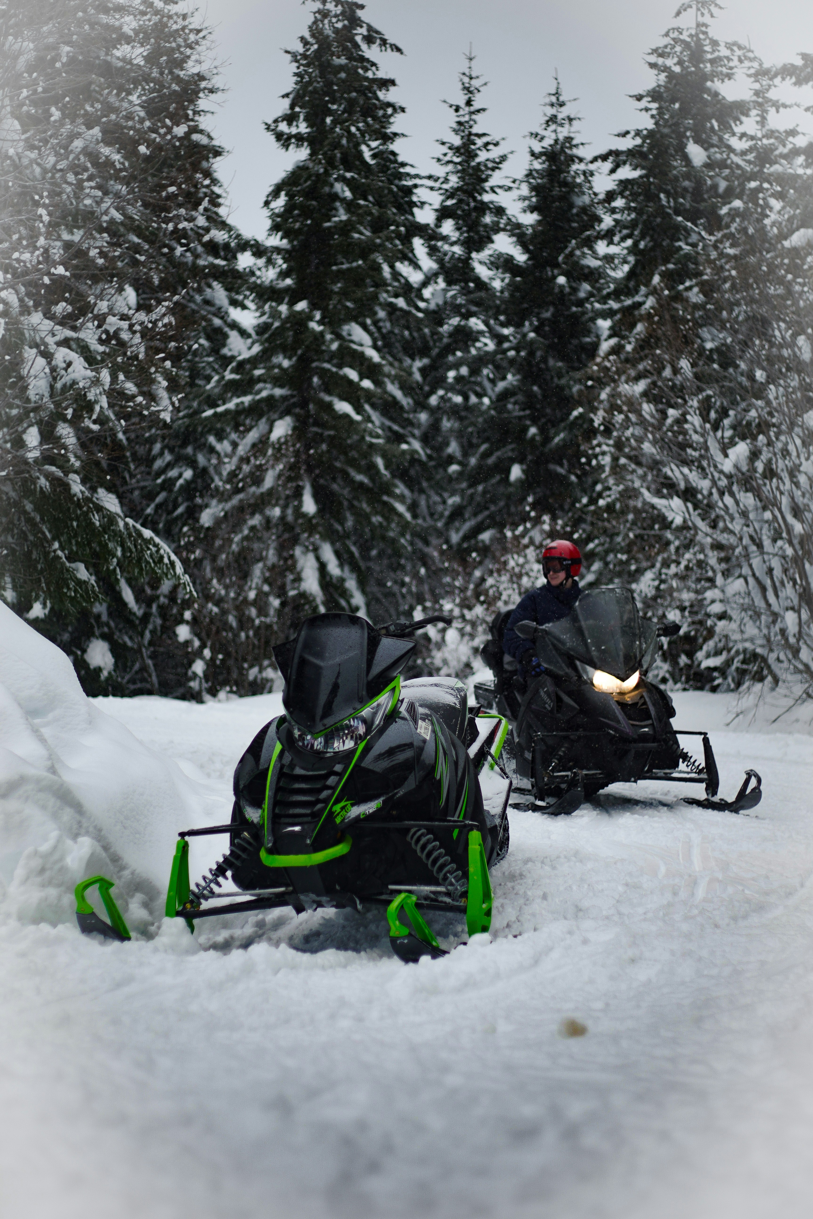 Two Snowmobiles on Snowy Forest Trail