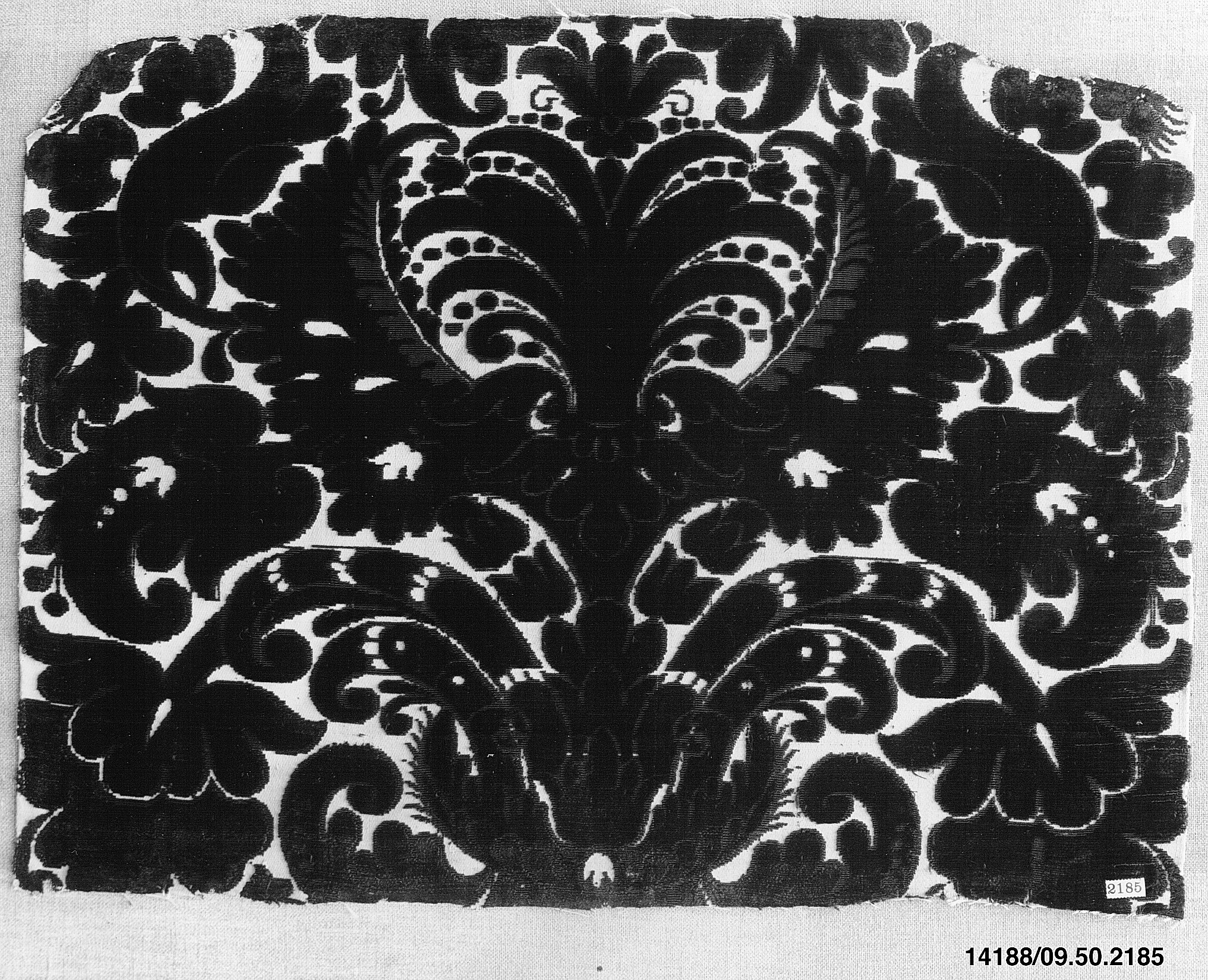 Black Patterned Velvet Textile Fragment
