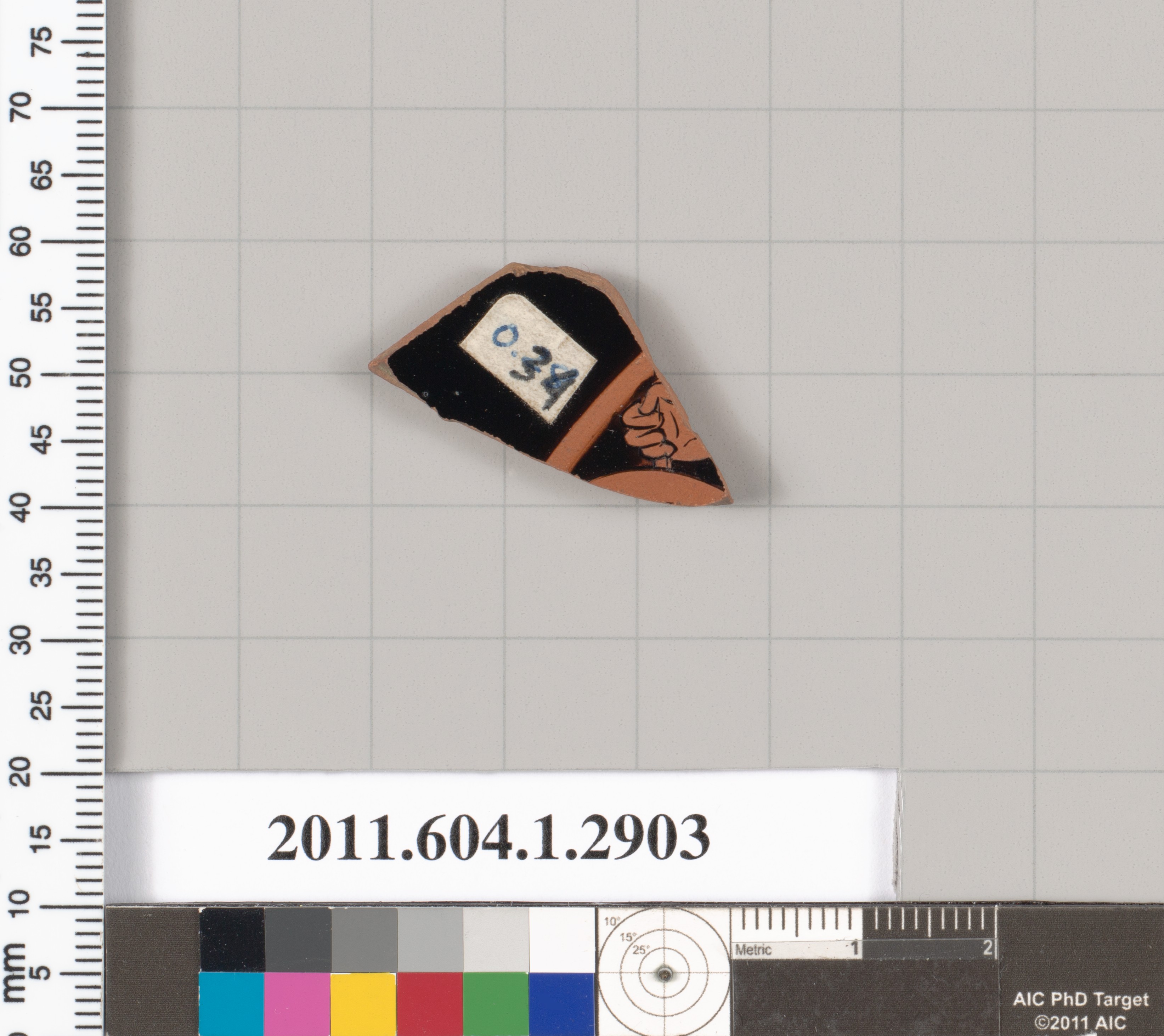 Painted Pottery Fragment Specimen