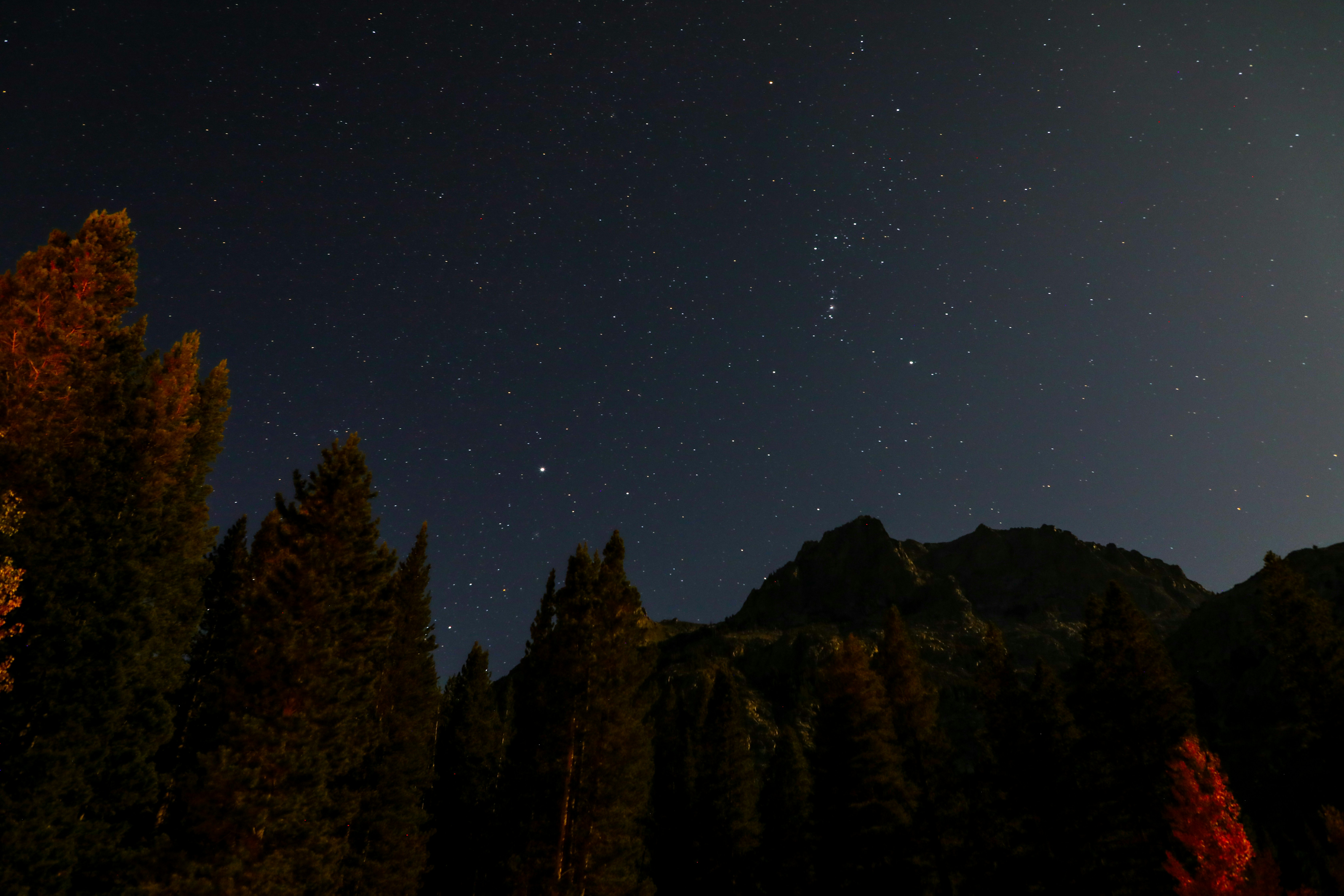 Starry Sky Over Mountain Forest