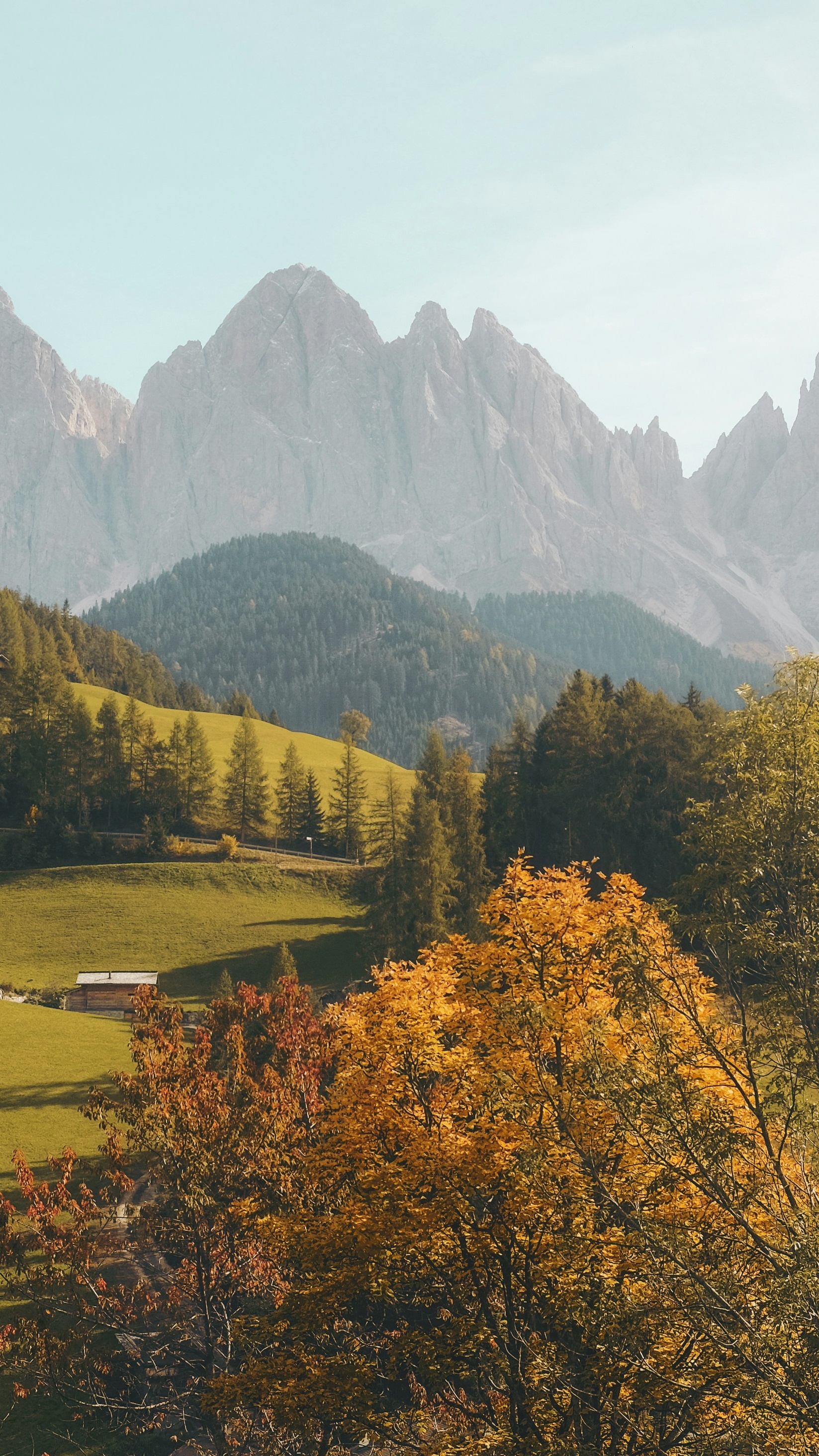 Wallpapers