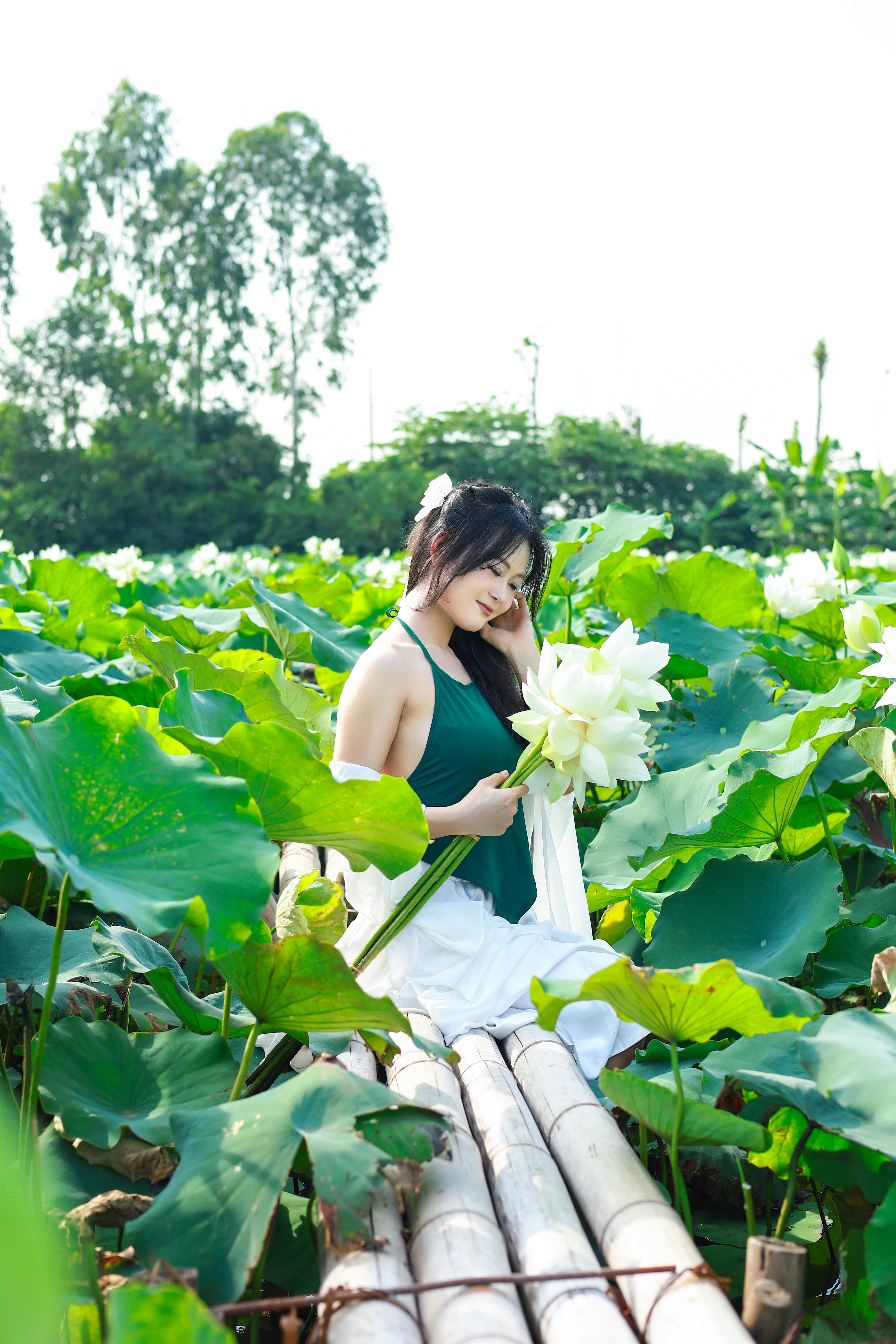 Image 1510514 — Beauty