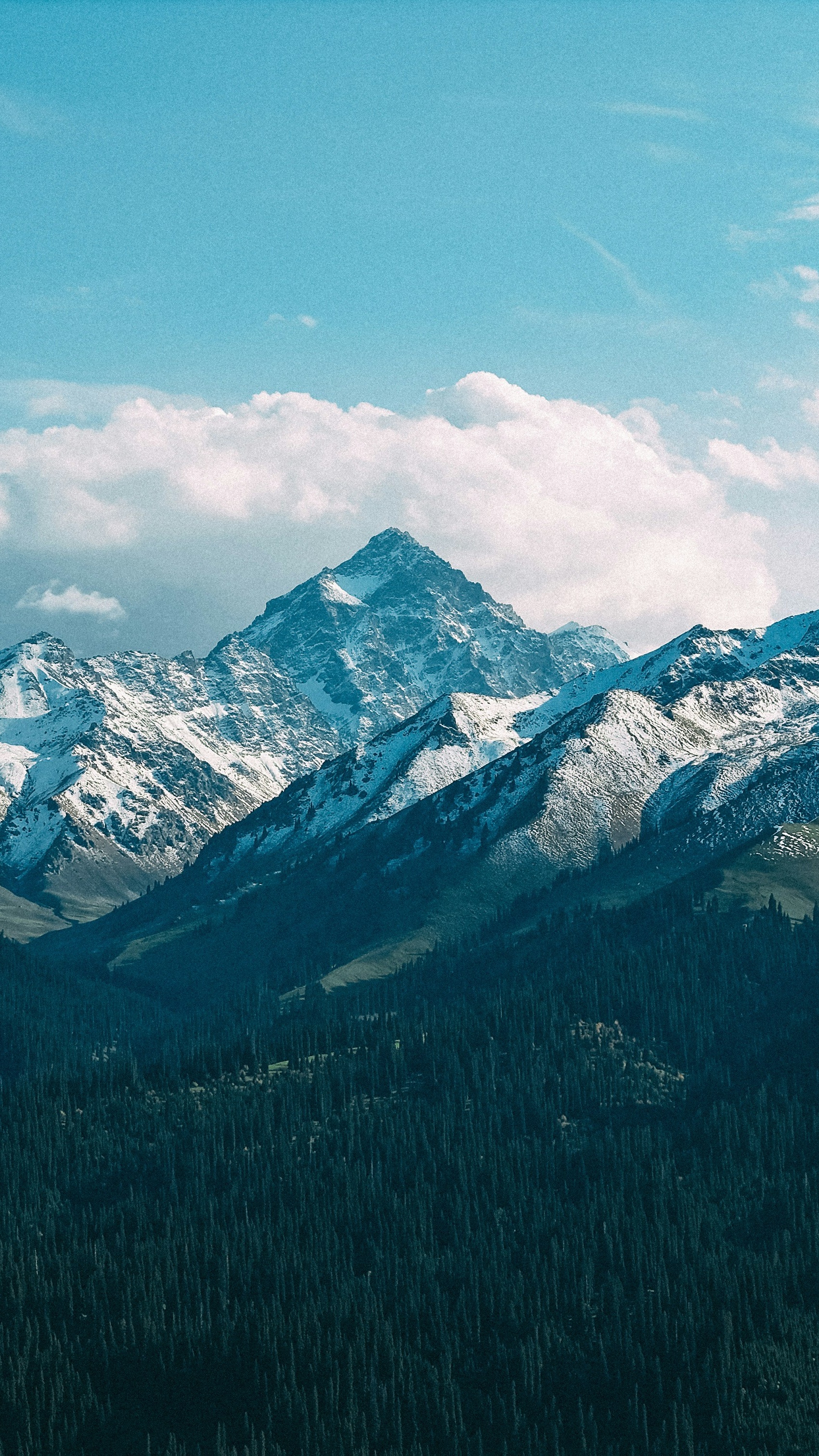 Wallpapers