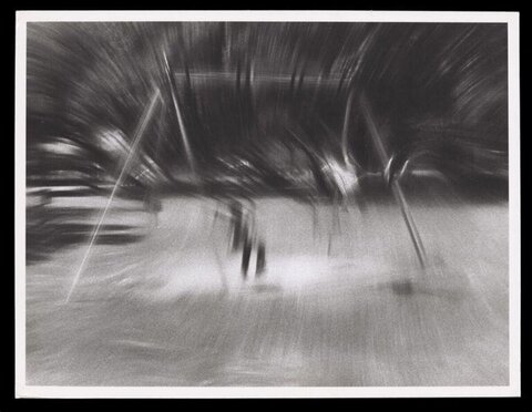 Blurred Monochrome Motion Abstract Trees