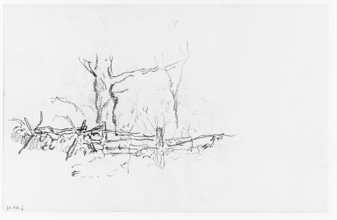 Pencil Sketch of Trees by Fence