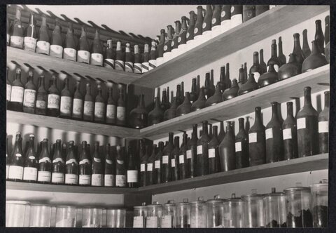 Wine Bottles on Cellar Shelves
