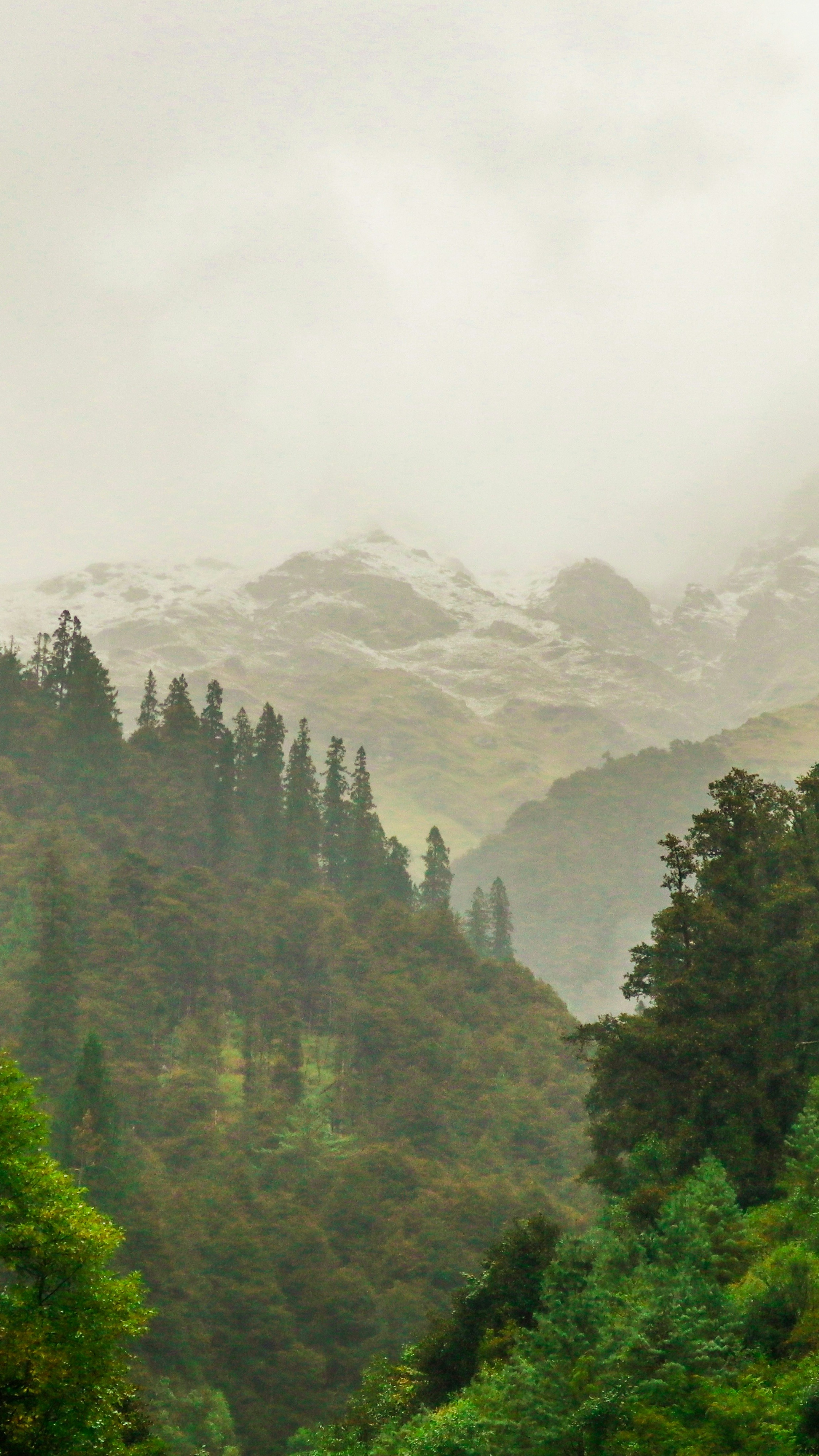Landscapes