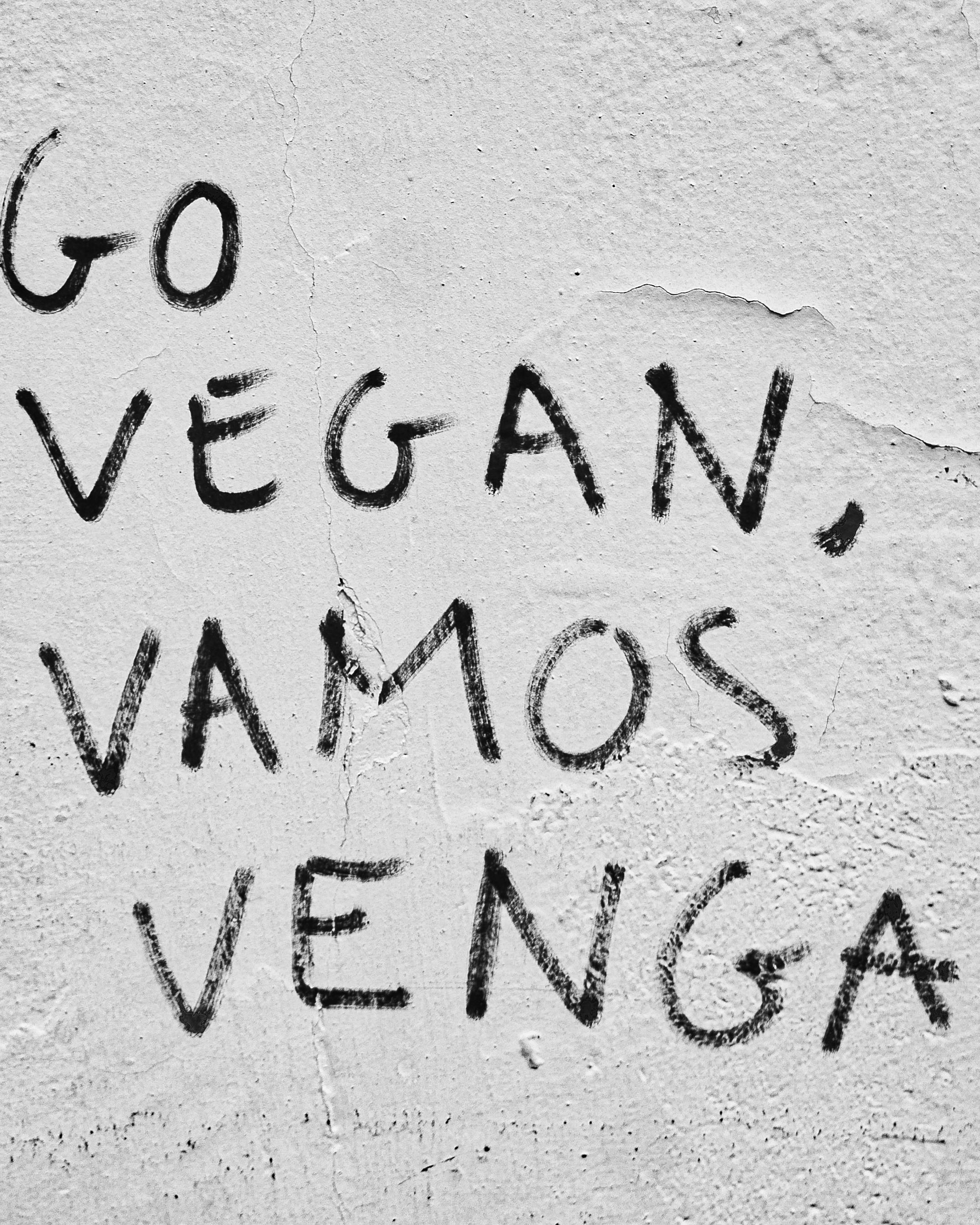 Go Vegan Graffiti on Weathered Wall