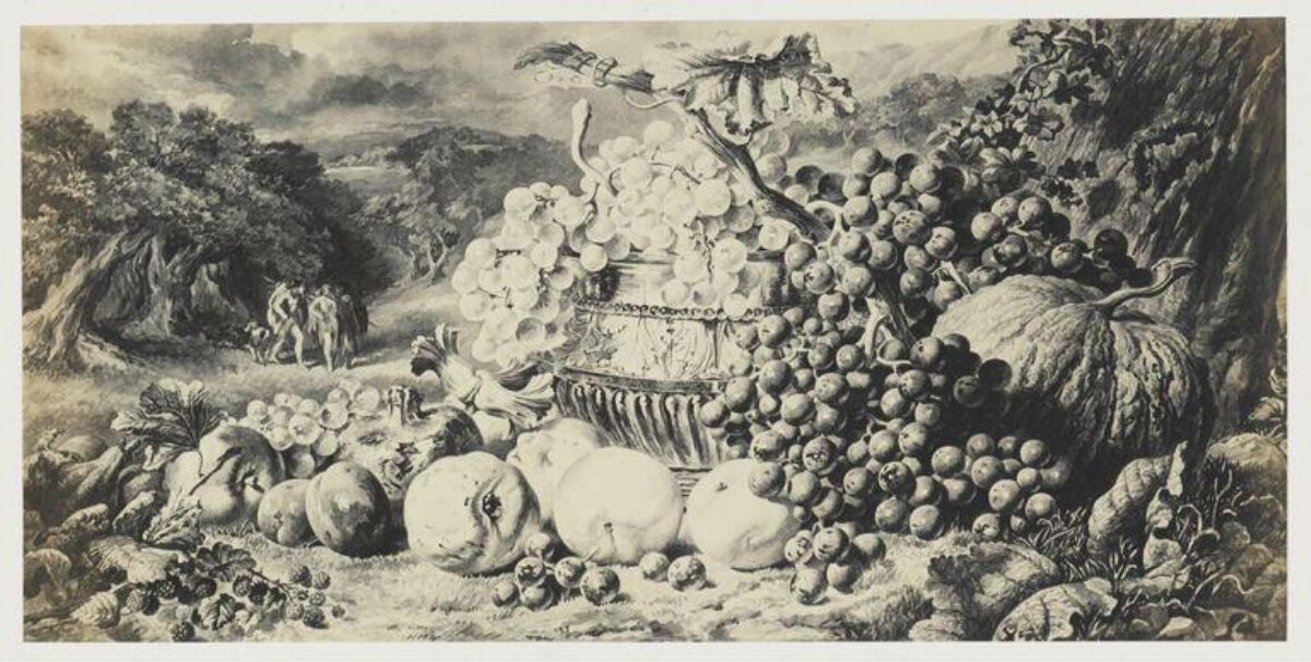 Still Life of Fruits in Landscape