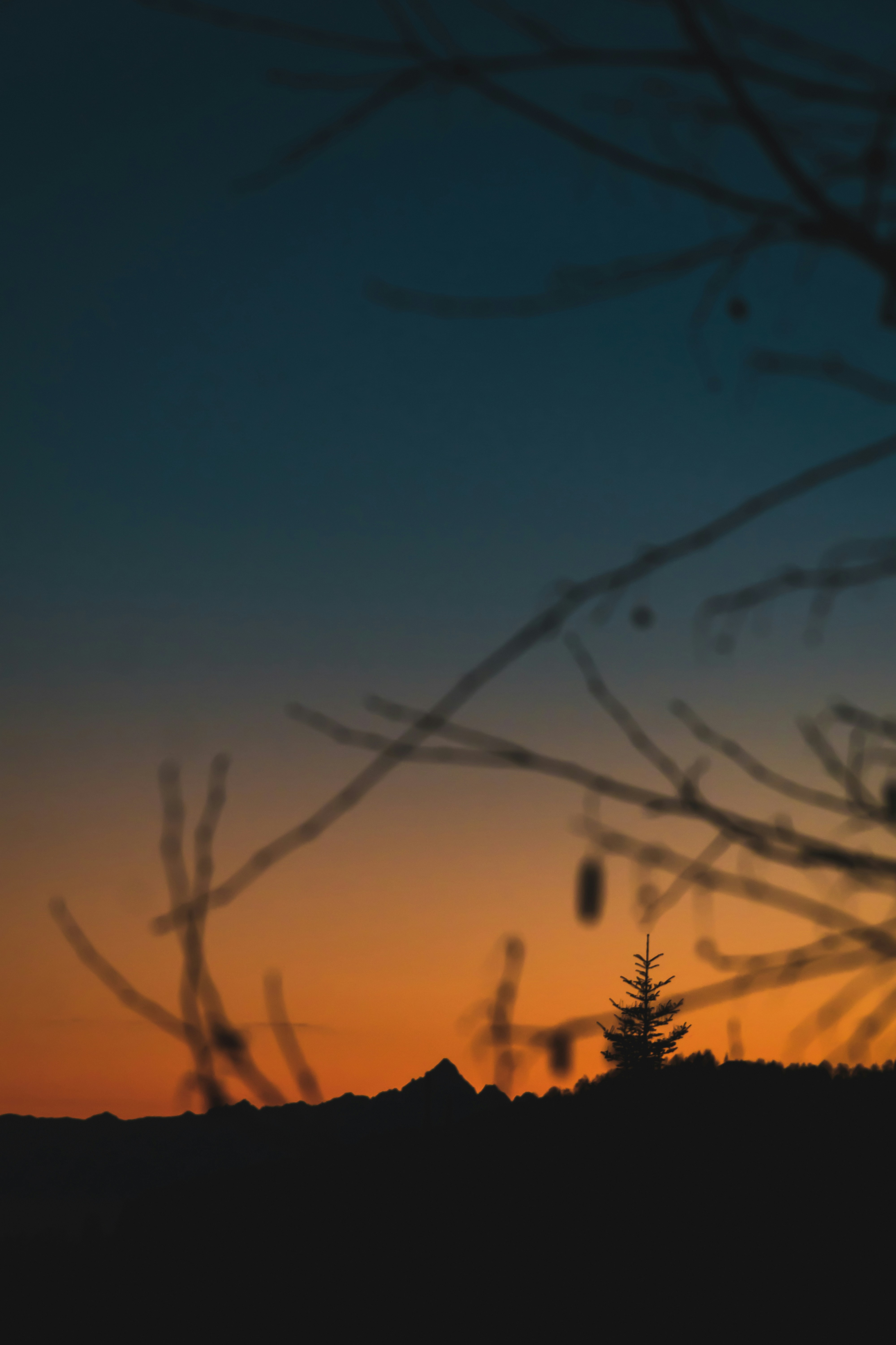 Sunset Mountain Tree Silhouette
