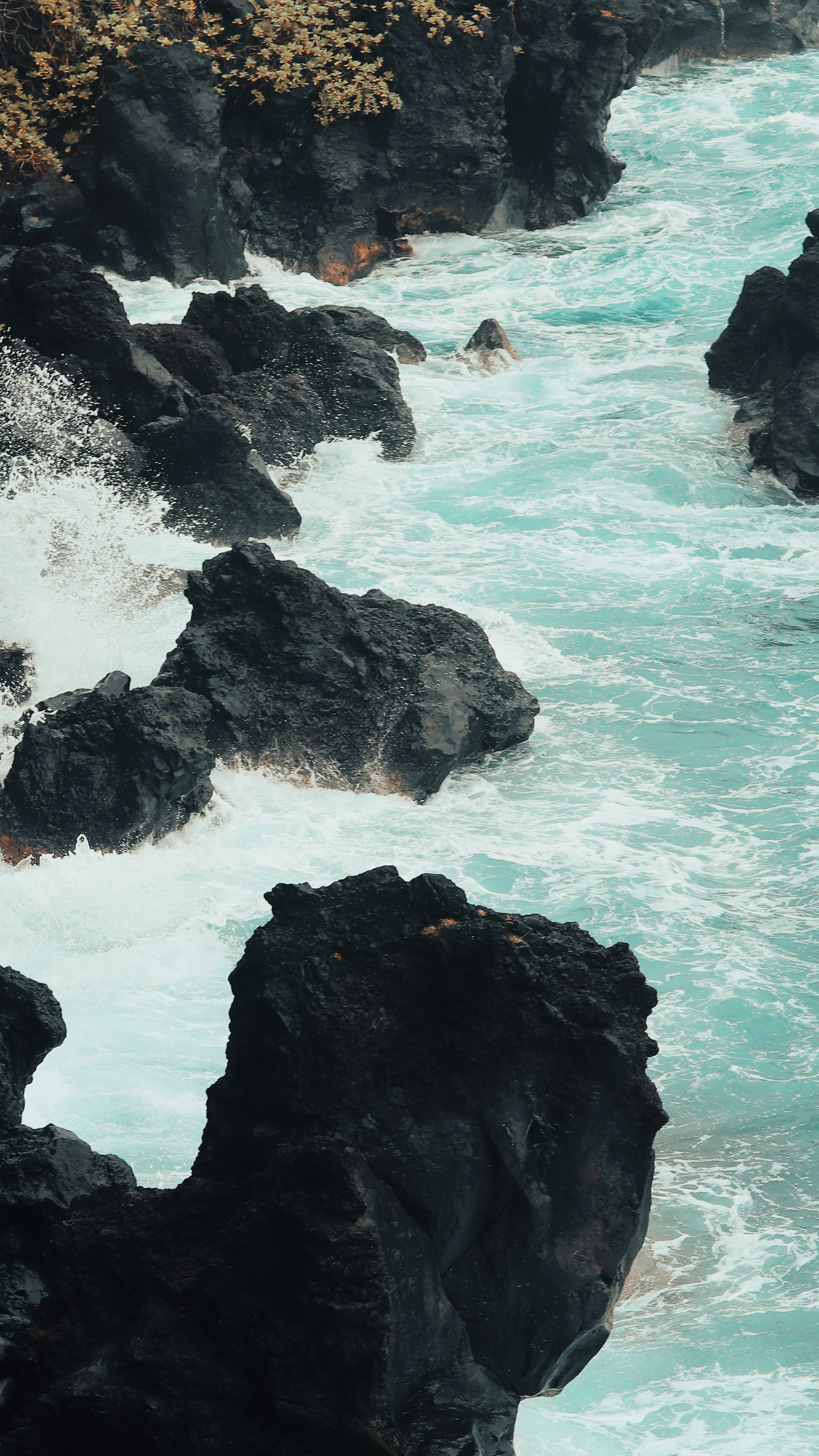 Wallpapers