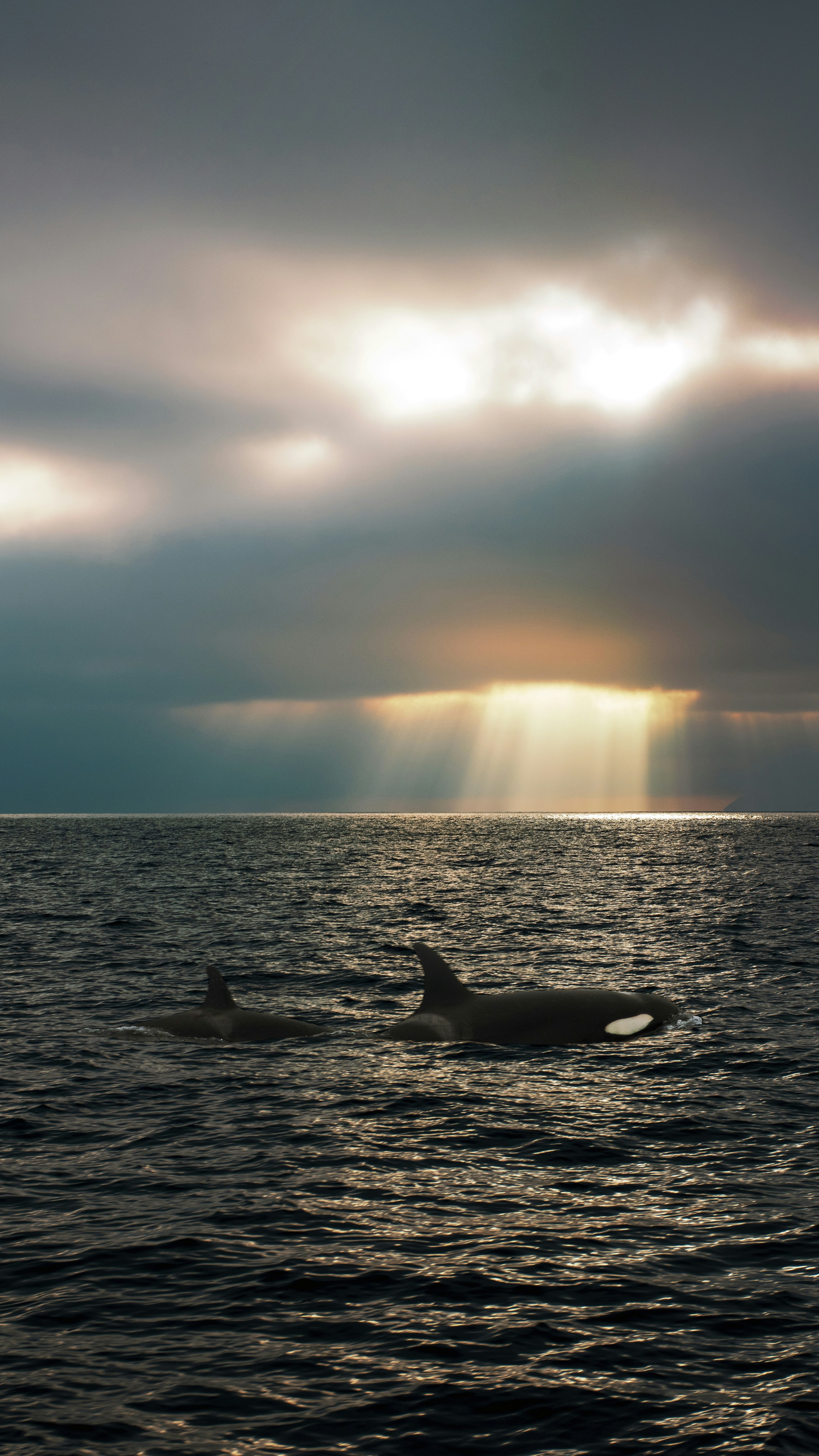 Ocean World