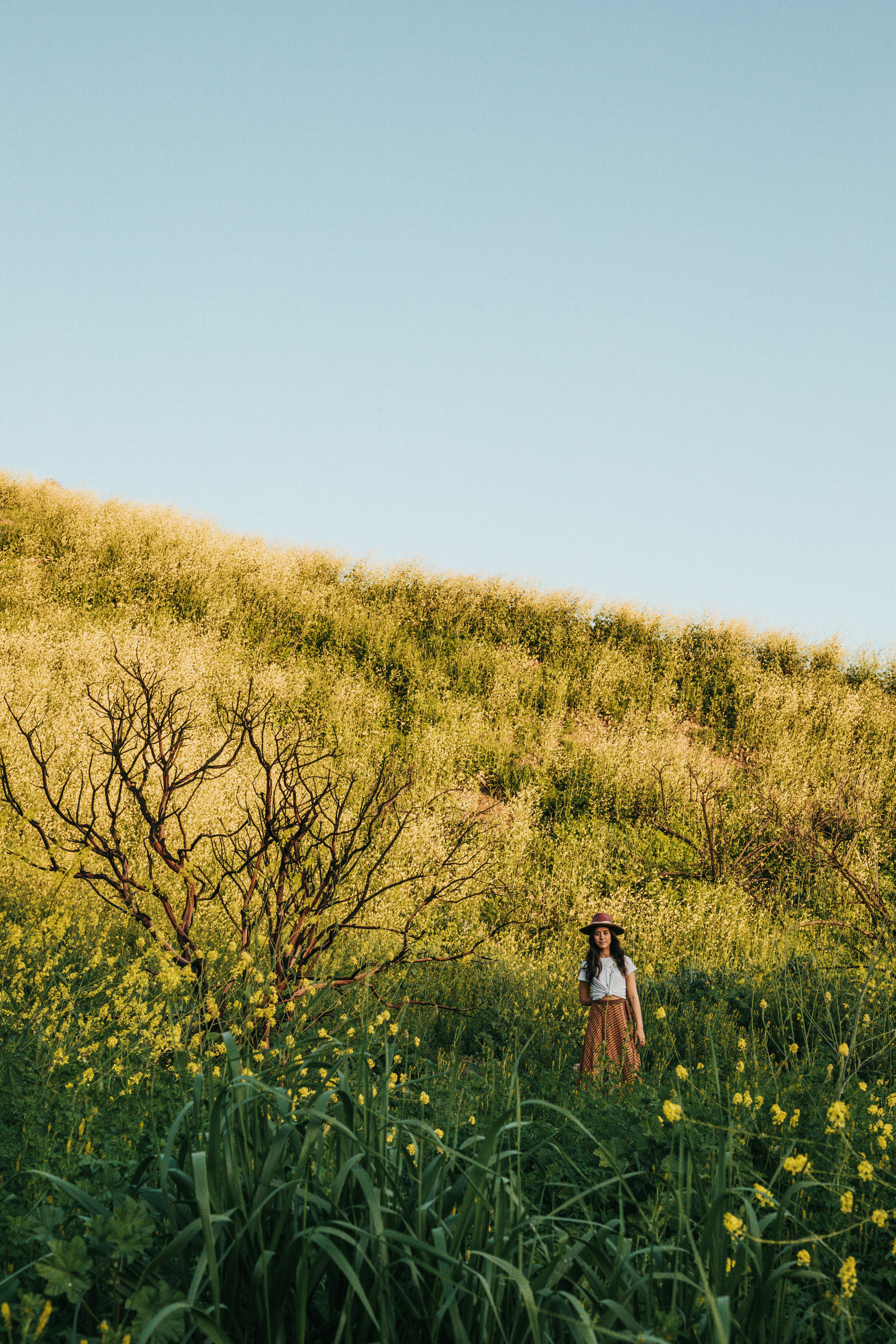 Woman Standing in Hillside Wildflower Field