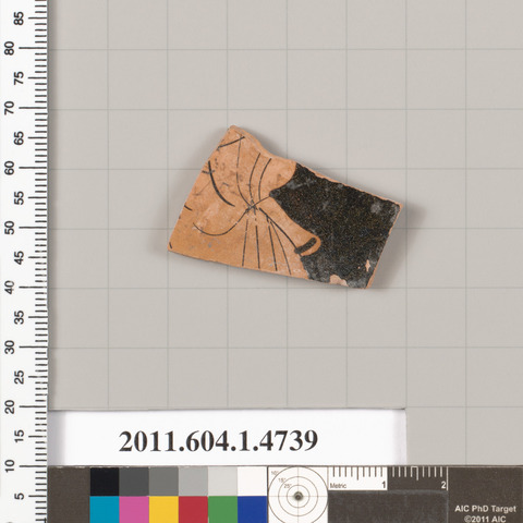 Ancient Painted Pottery Shard