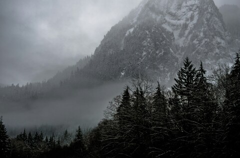 Foggy Snow-covered Mountain Forest