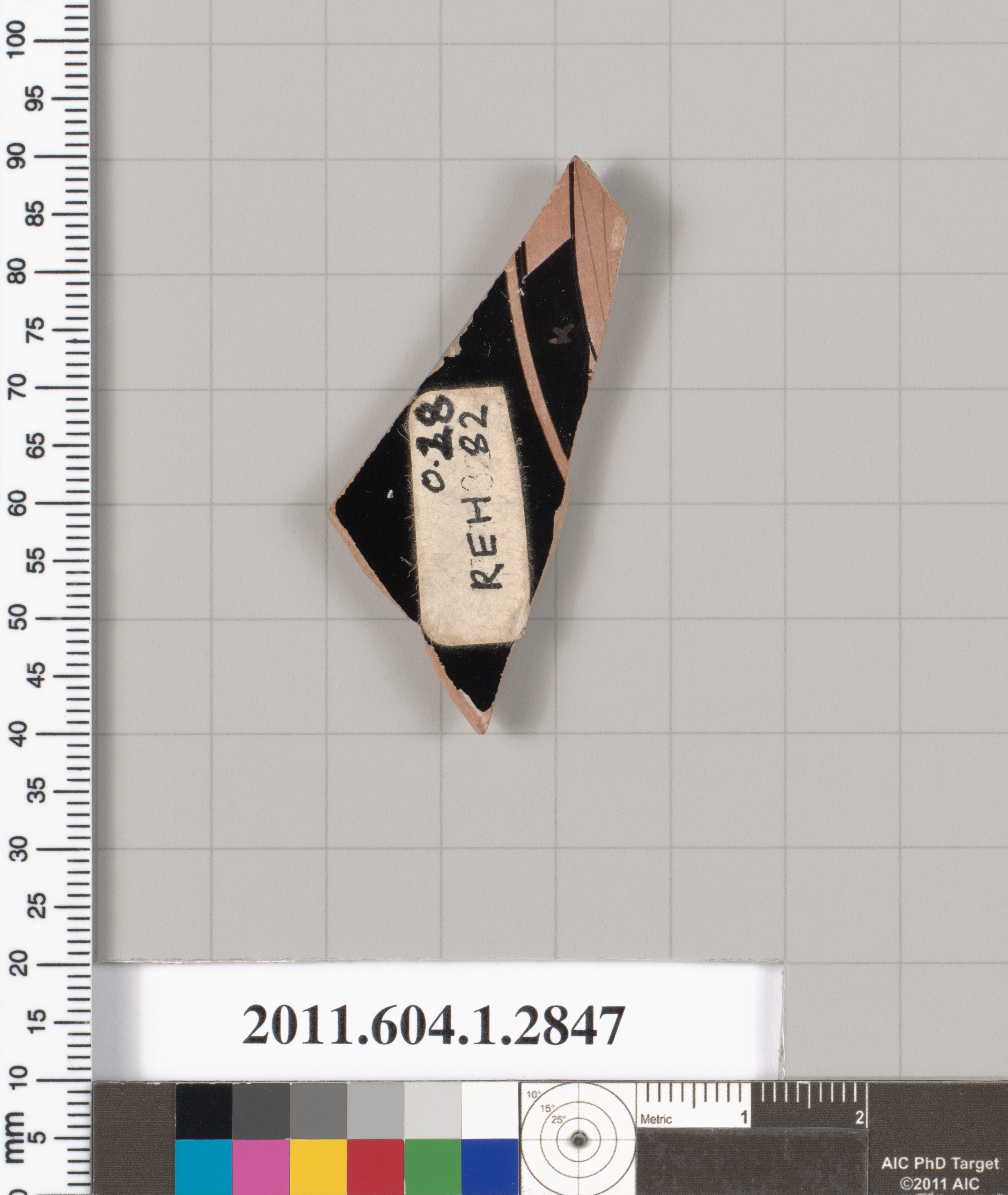 Museum Cataloged Pottery Shard