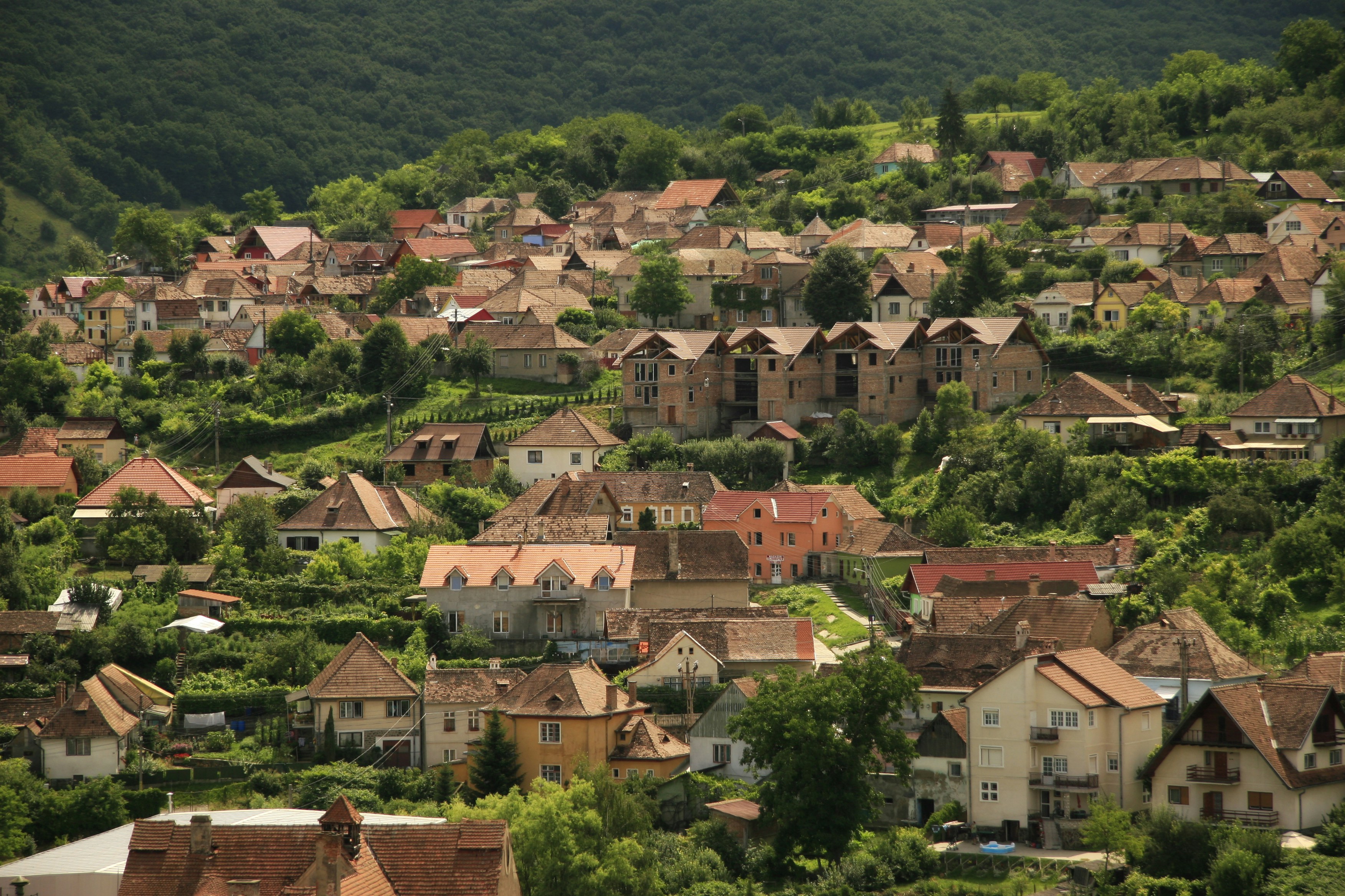 Hillside Village Amid Green Mountains