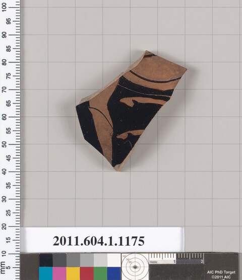 Ancient Black Figure Pottery Shard