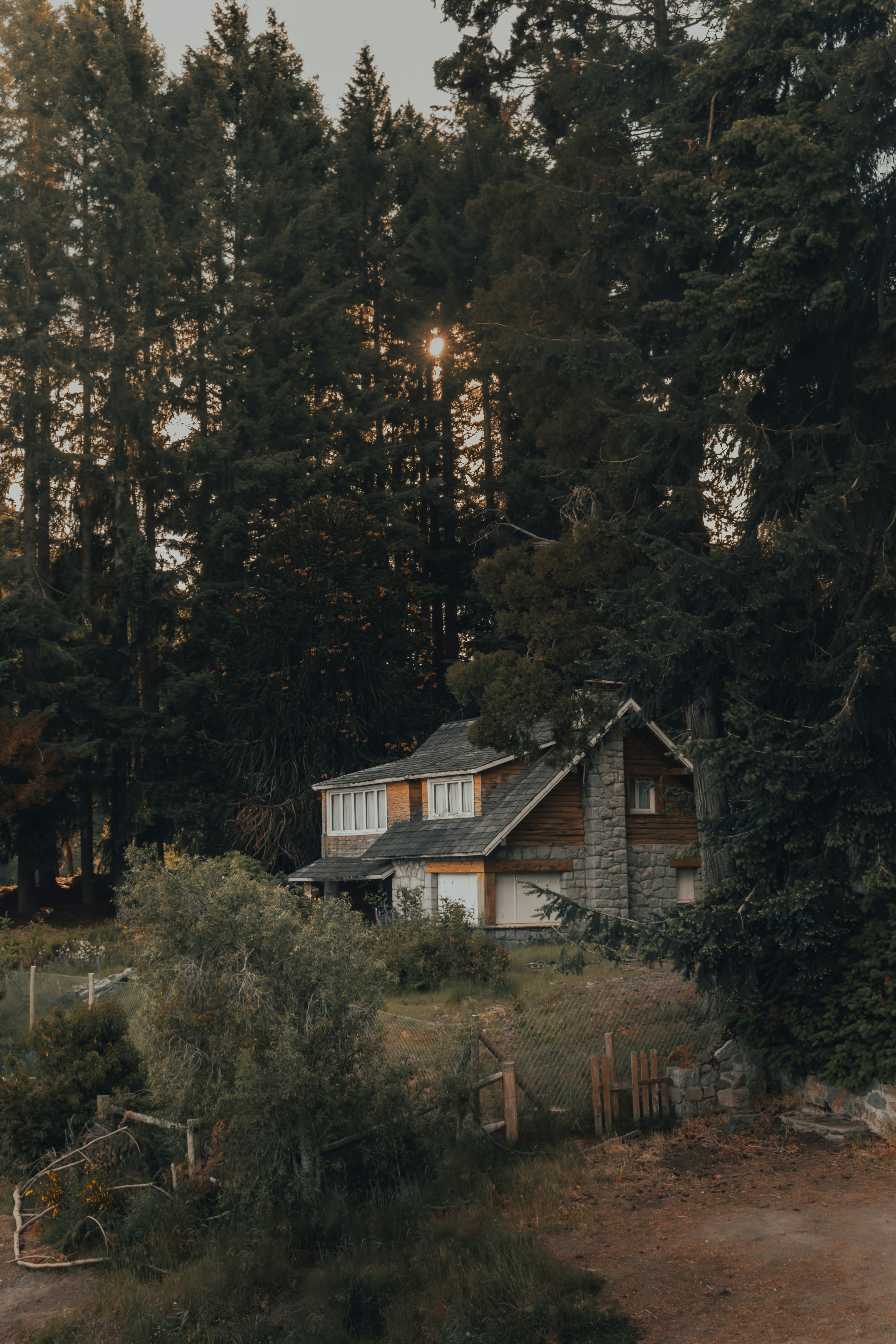 Secluded Cabin In Forest
