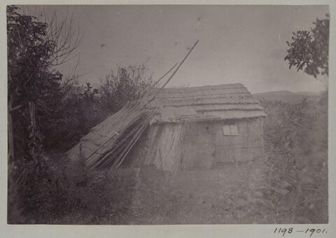Vintage Thatched Hut
