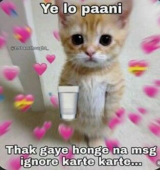 Cute Ginger Kitten Hindi Meme