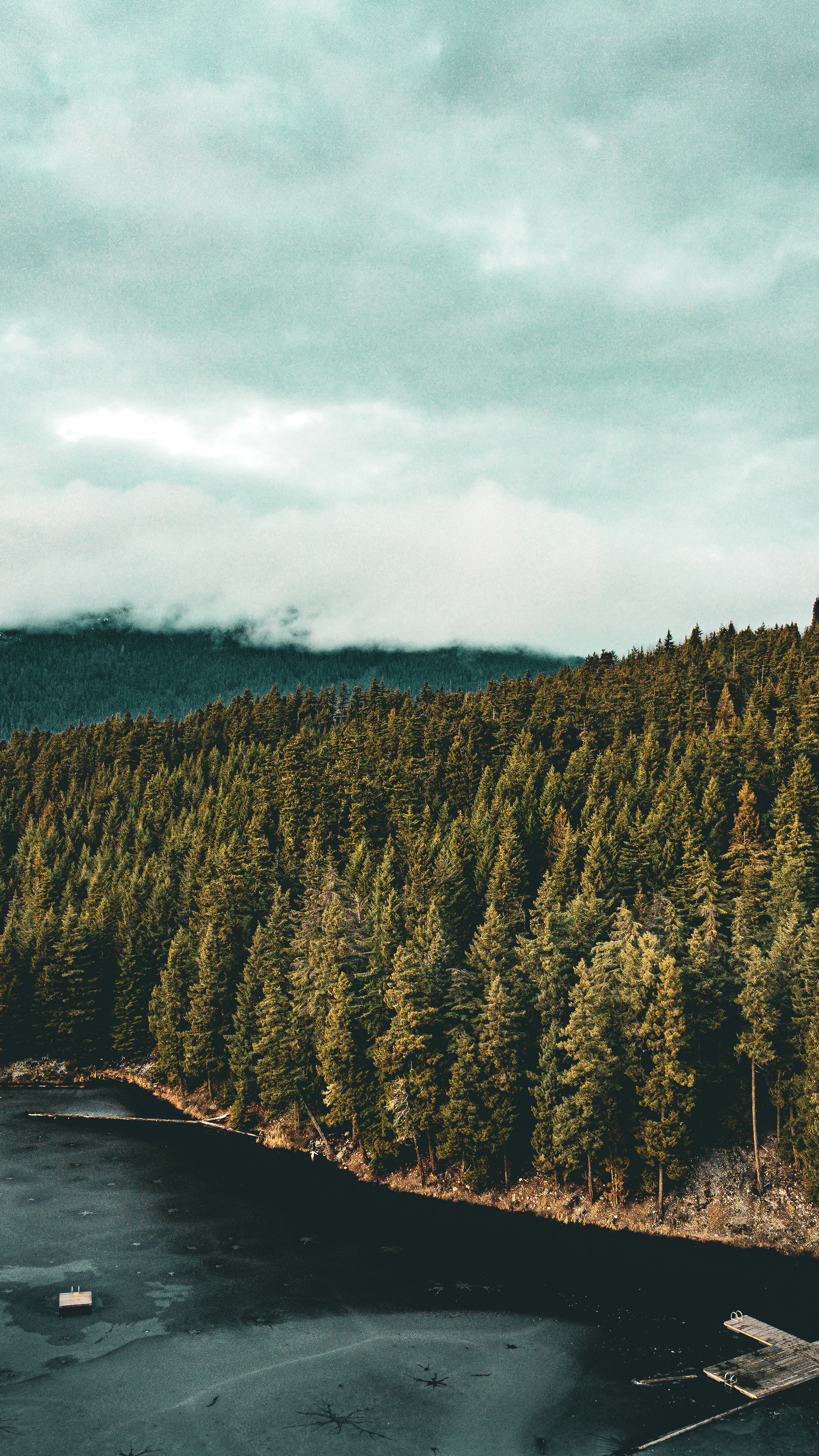 Wallpapers