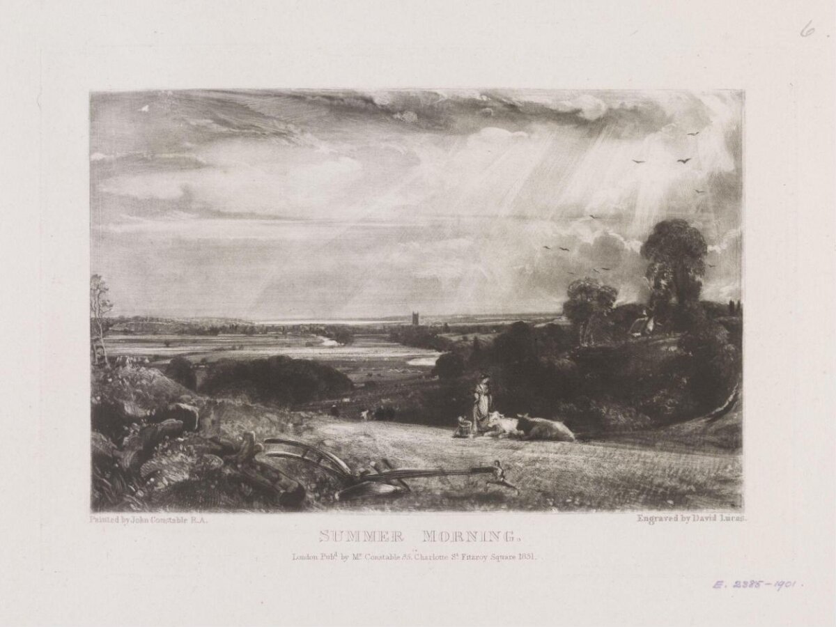 Summer Morning Rural Landscape