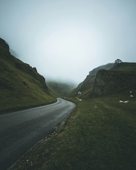 Misty Valley Winding Road