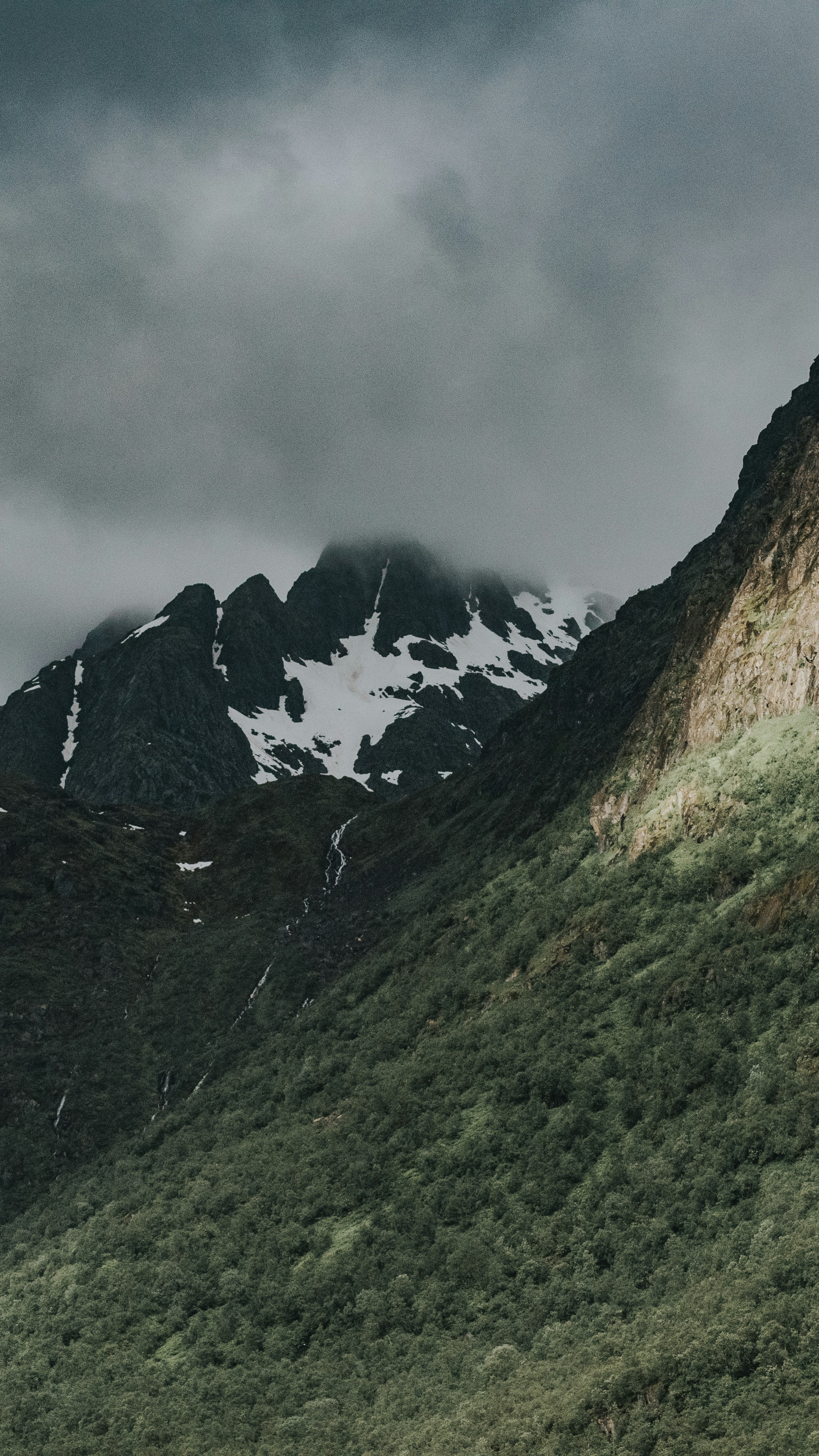 Wallpapers