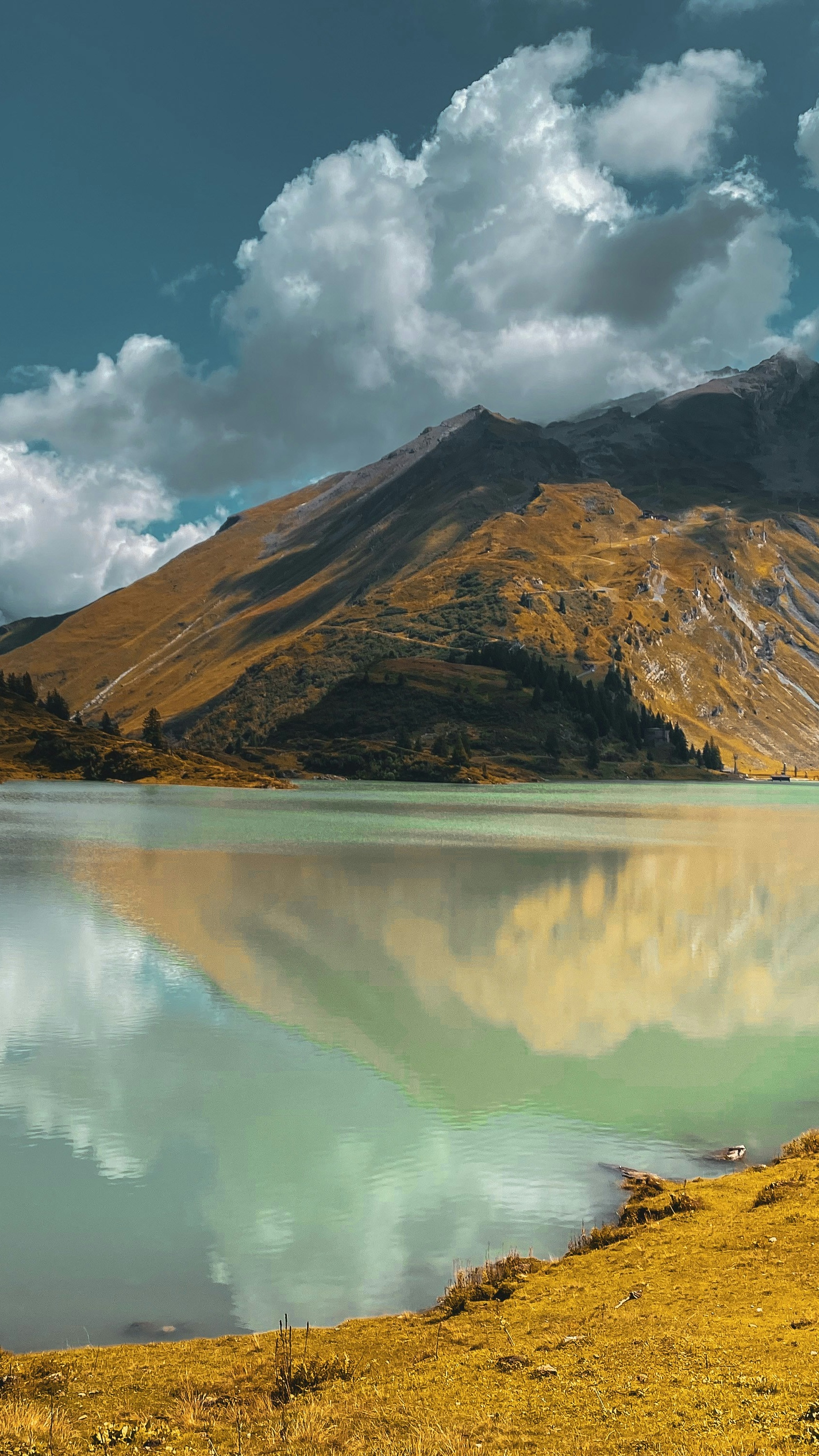 Landscapes