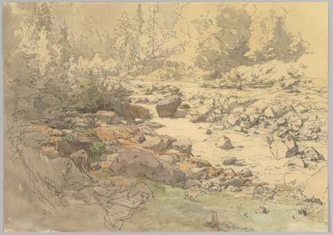 Mountain Forest River Sketch